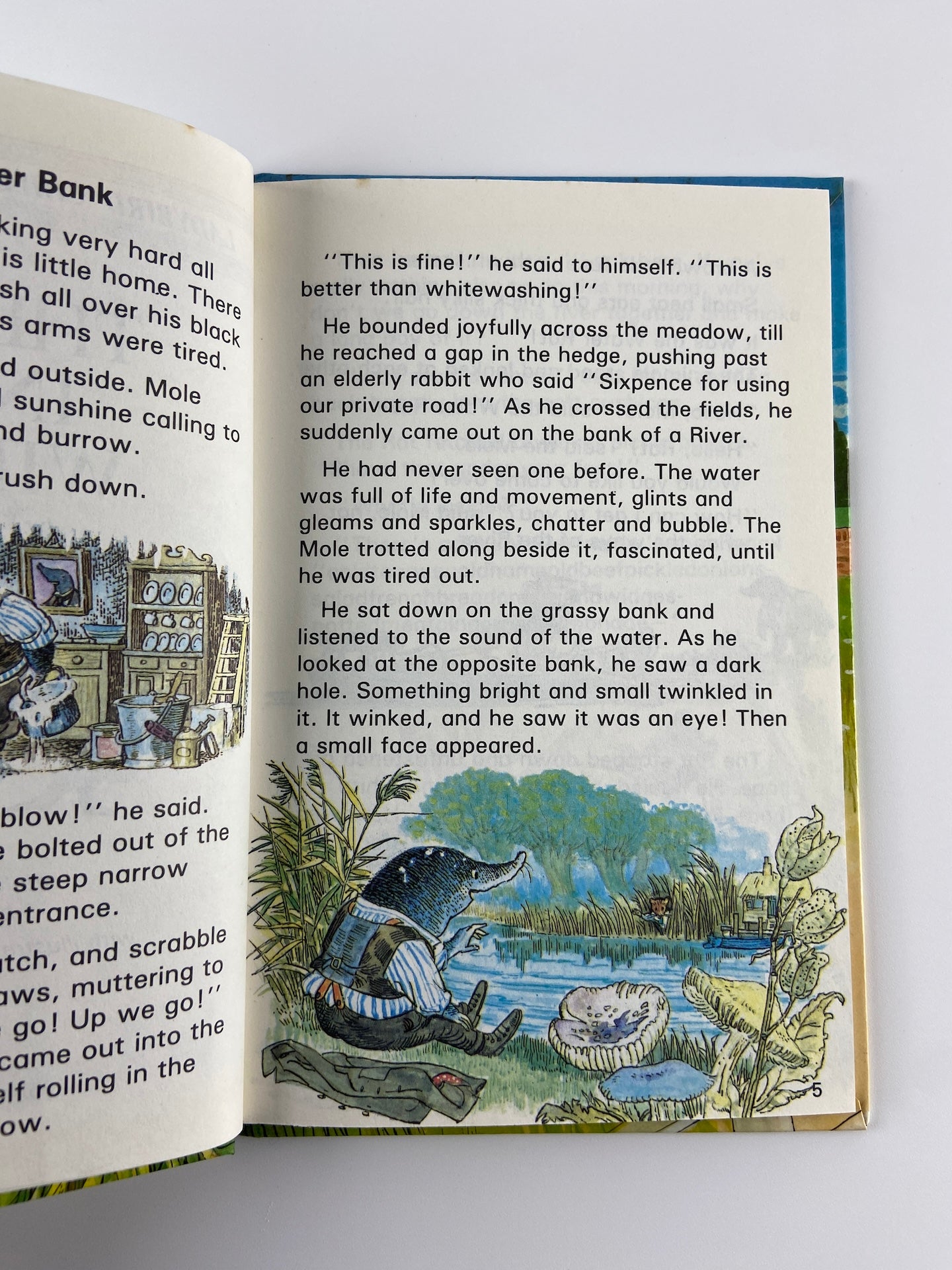 The wind in the willows by Kenneth Grahame