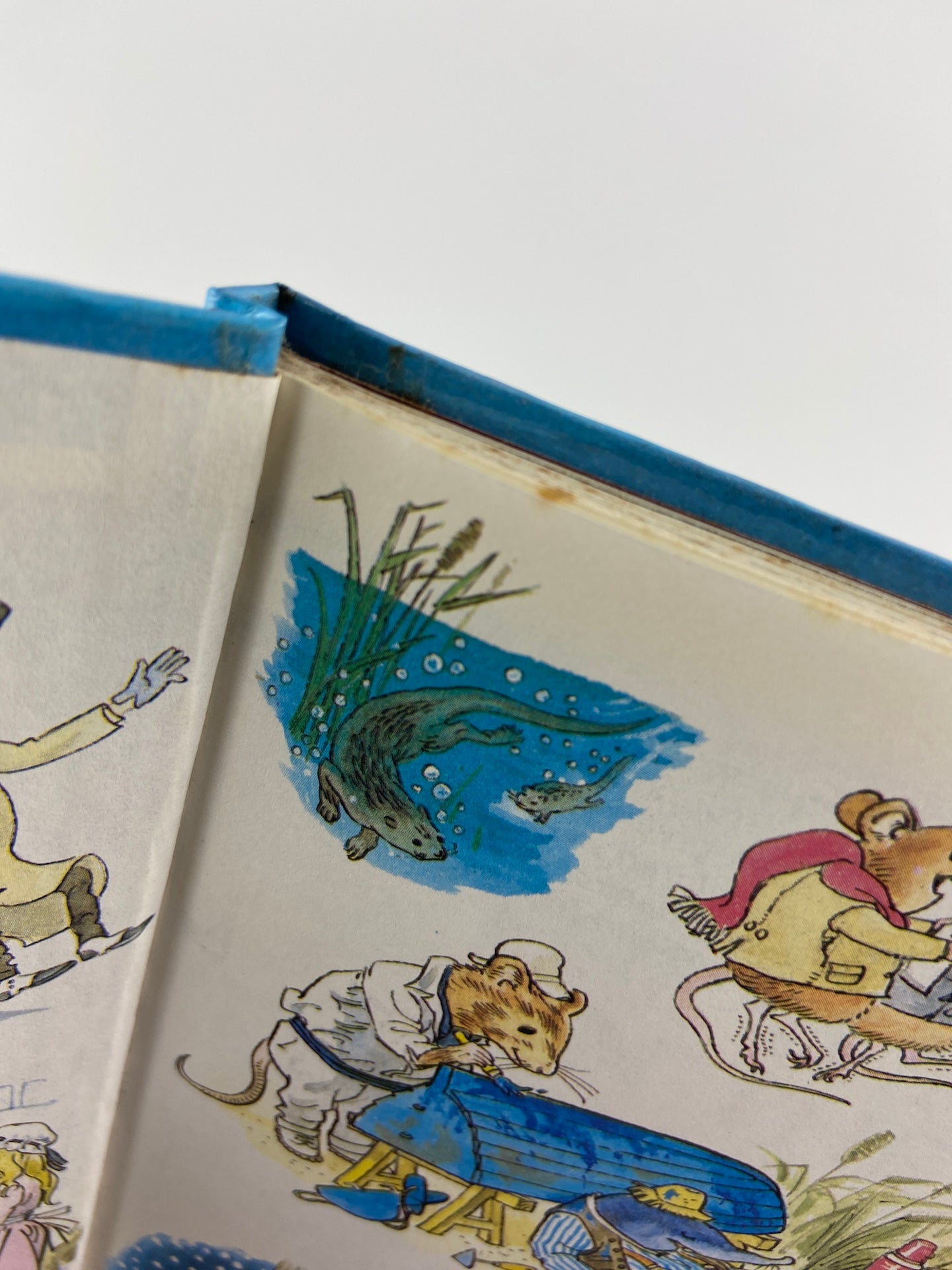 The wind in the willows by Kenneth Grahame