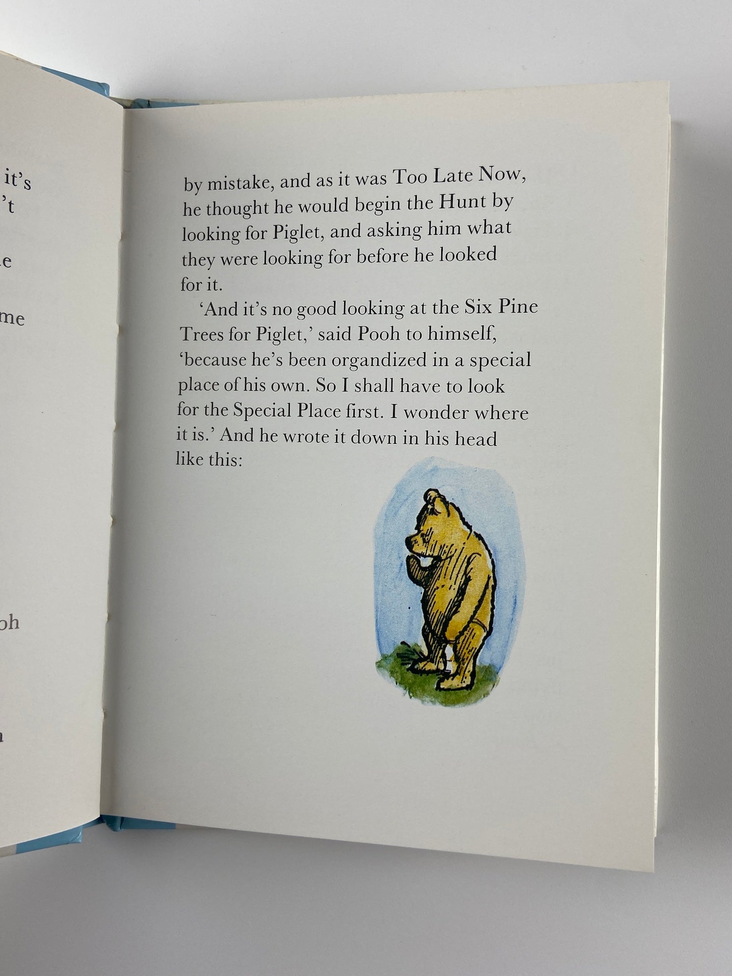 Winnie the Pooh | A search is organized