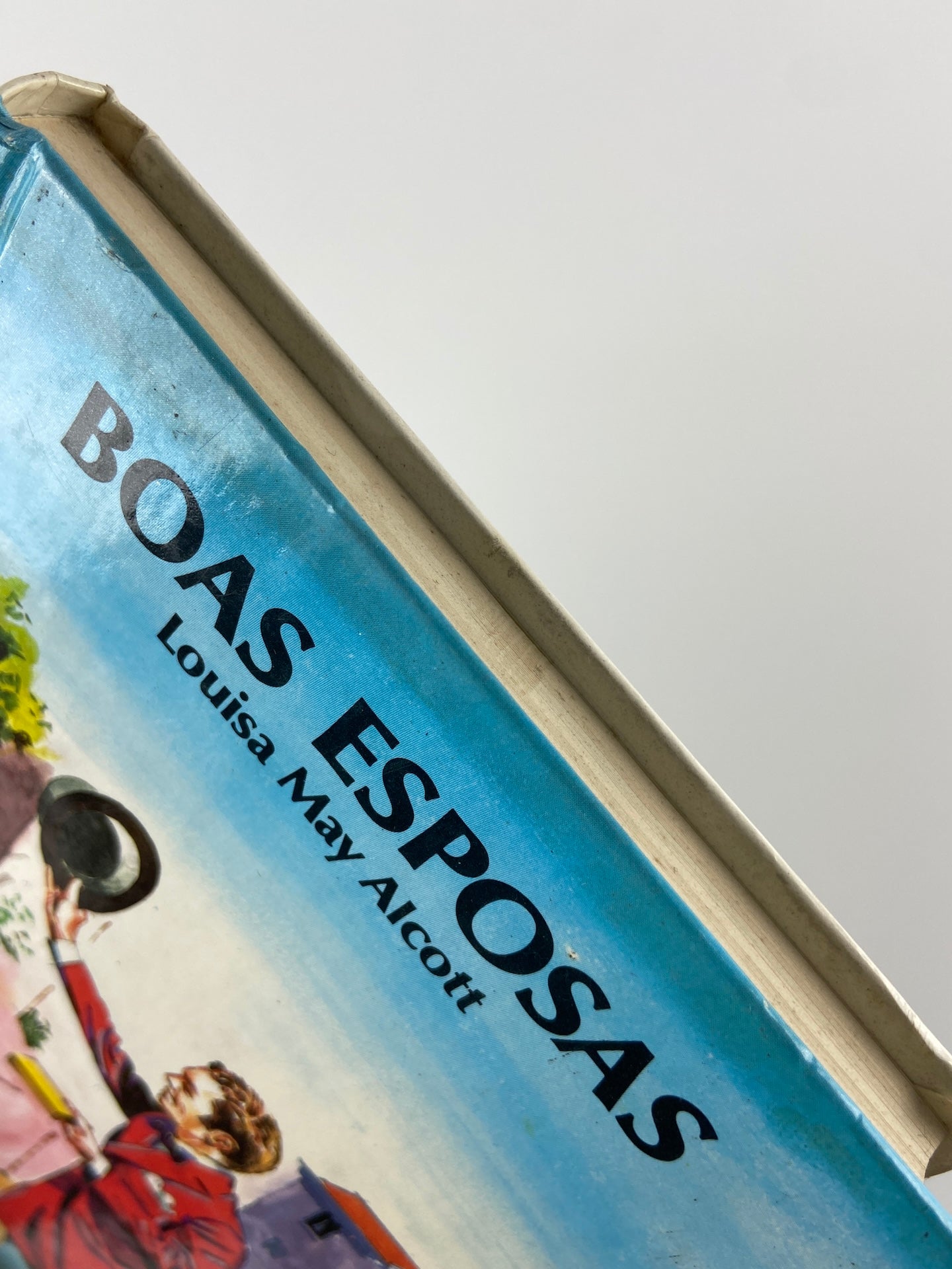 Boas esposas de Louisa May Alcott