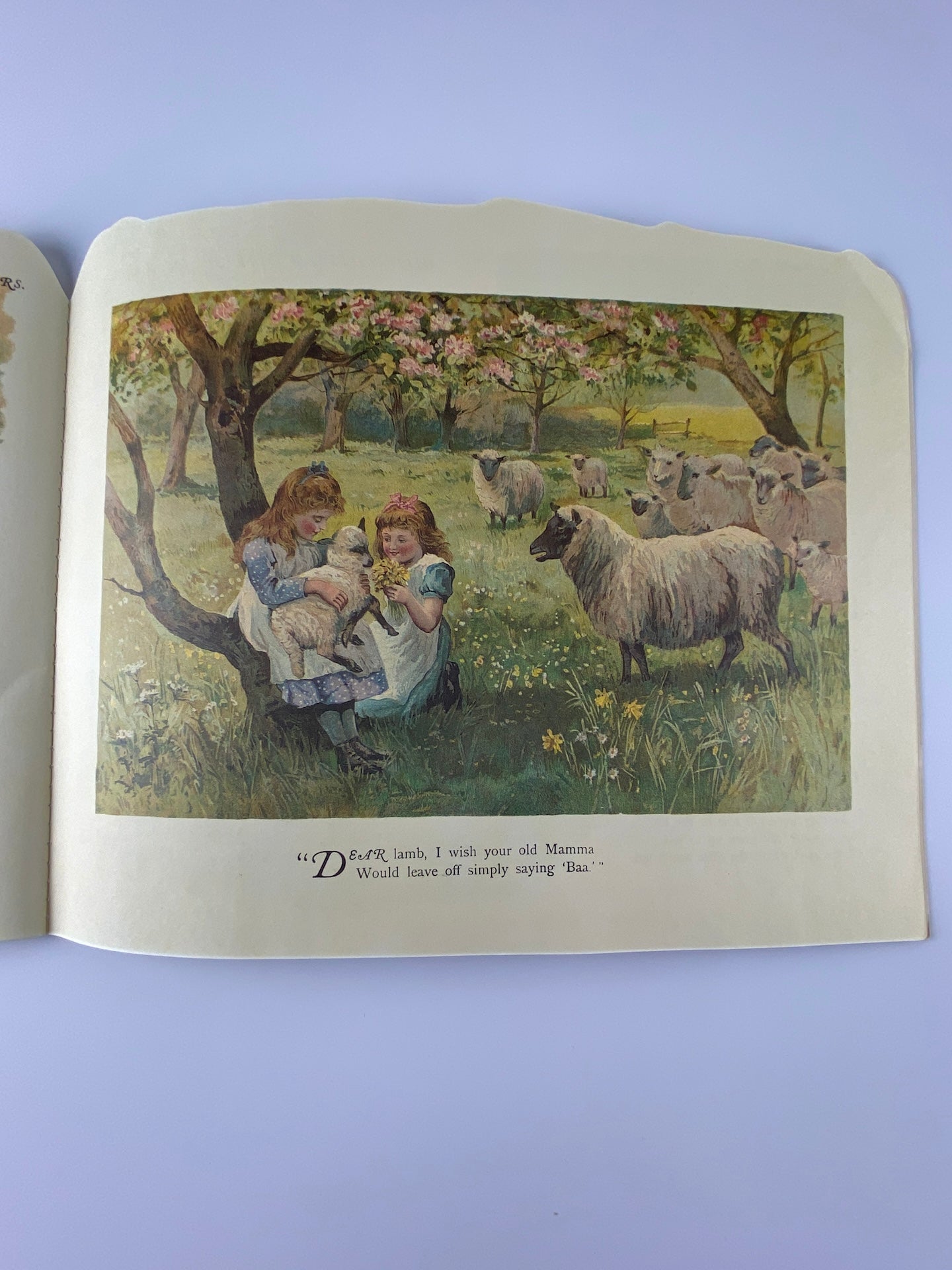 A day in the Country