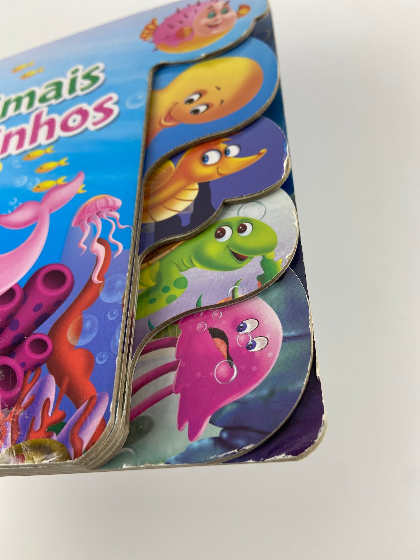 Os animais marinhos | A vida animal