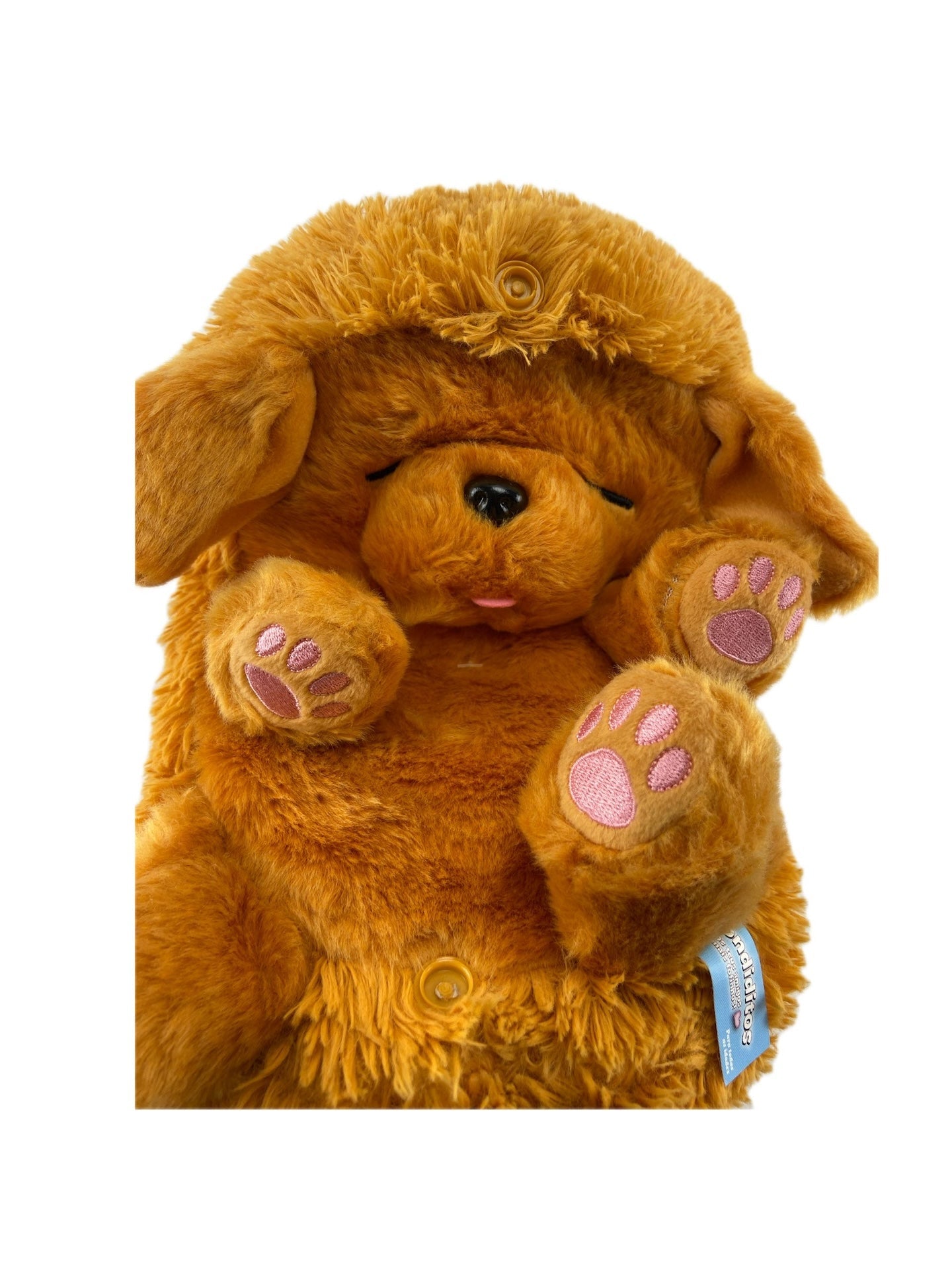 CONCENTRA Peluche Escondidito