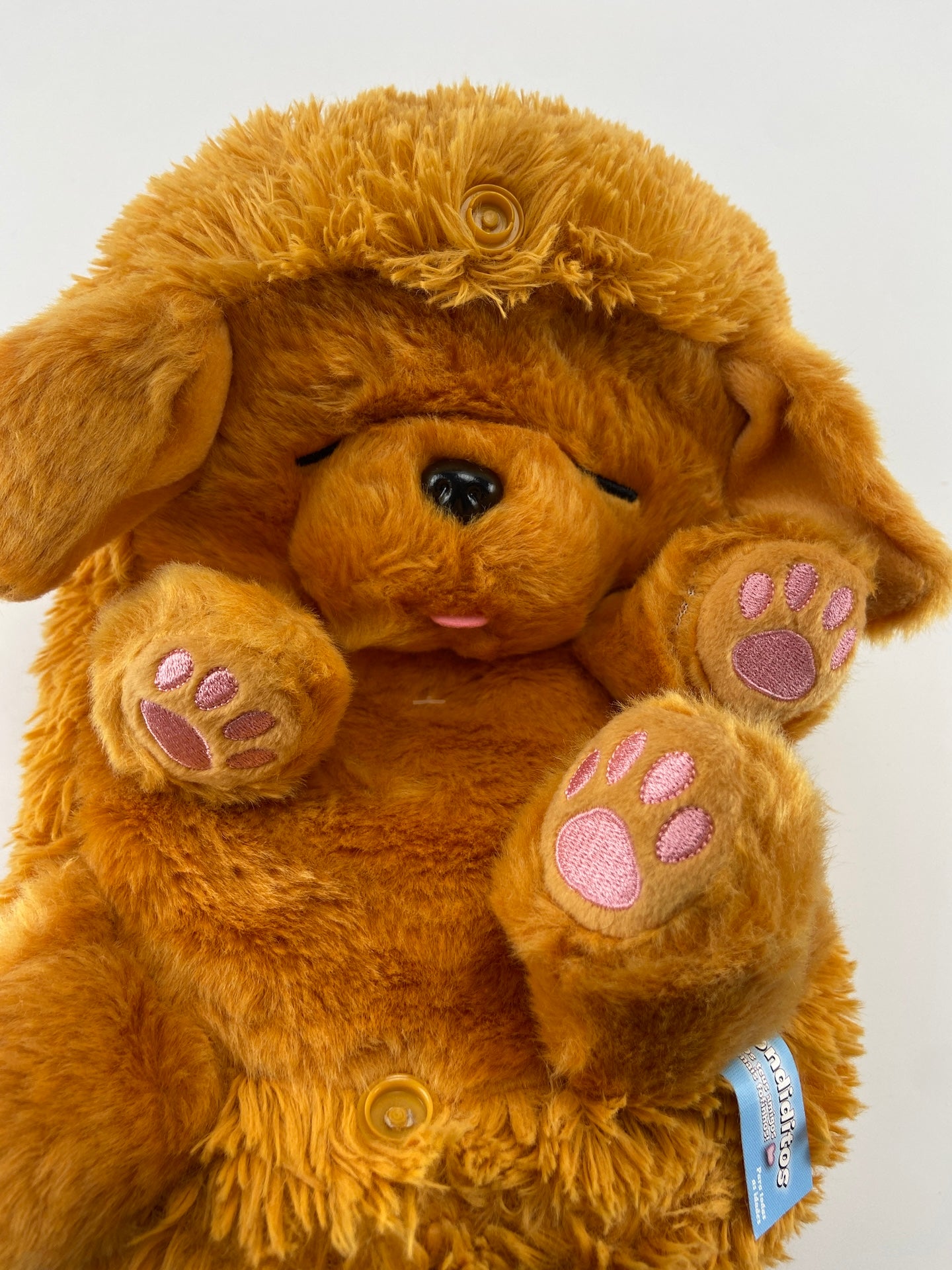 CONCENTRA Peluche Escondidito