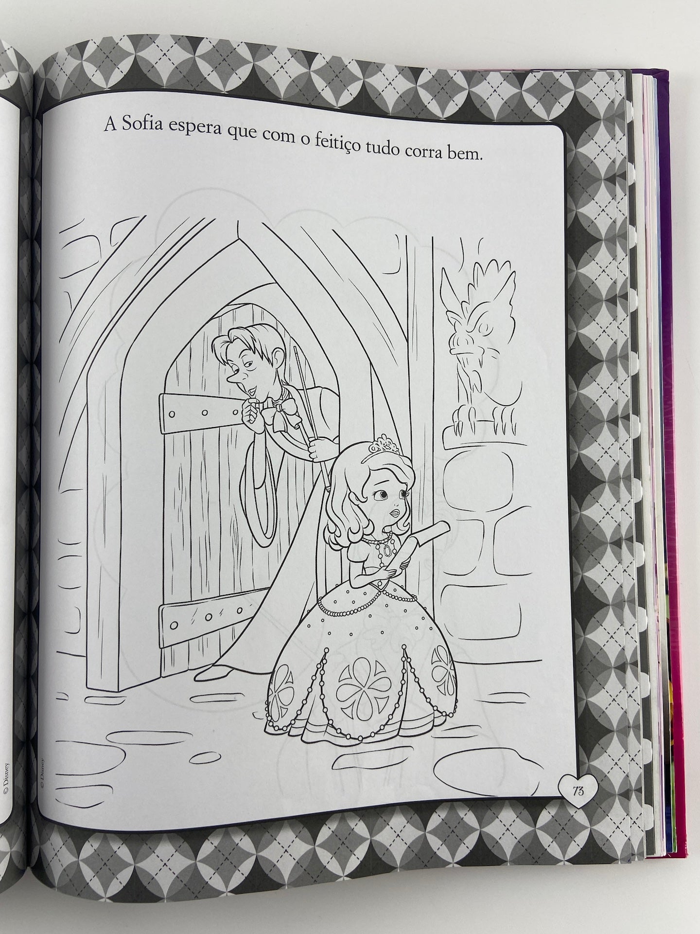 O livro completo Meninas de Minnie, Princesa Sofia e Dra Brinquedos