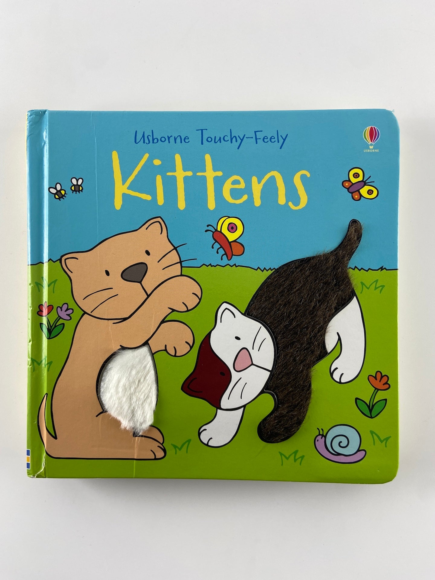 Kittens | Gatinhos