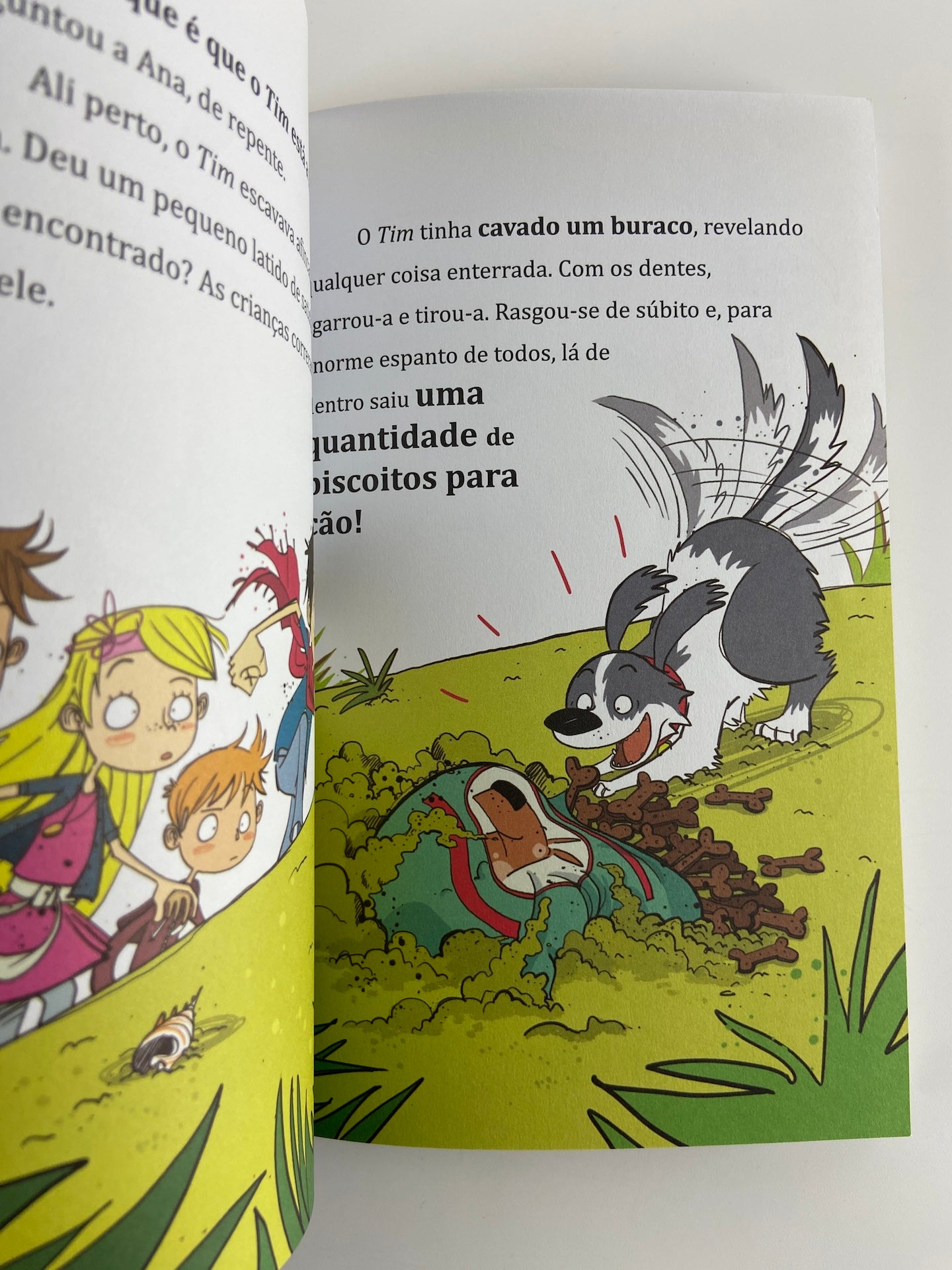 Os Mini Cinco 5 | Um Mistério para os Cinco