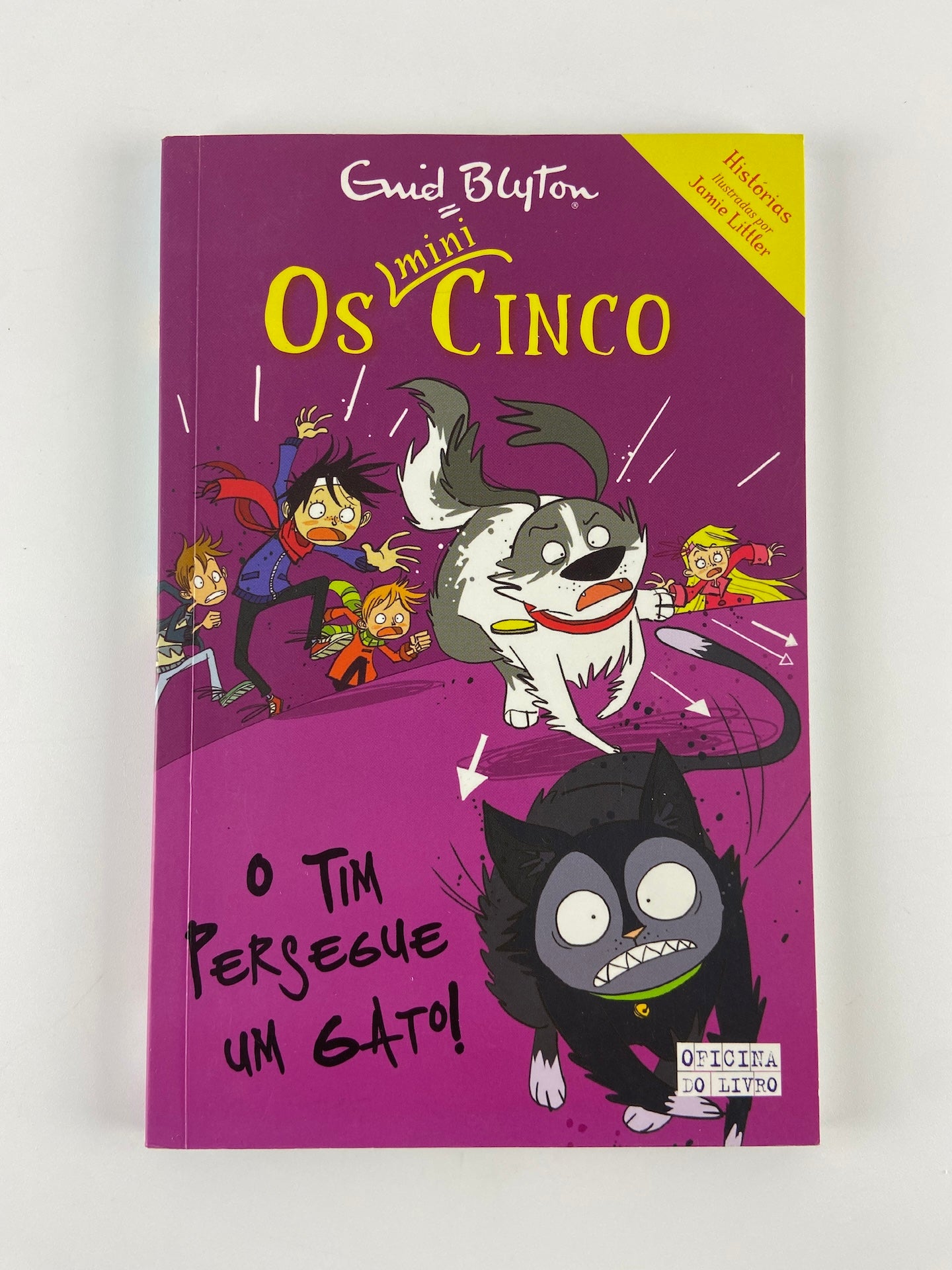 Os Mini Cinco 8 | O Tim persegue um gato!
