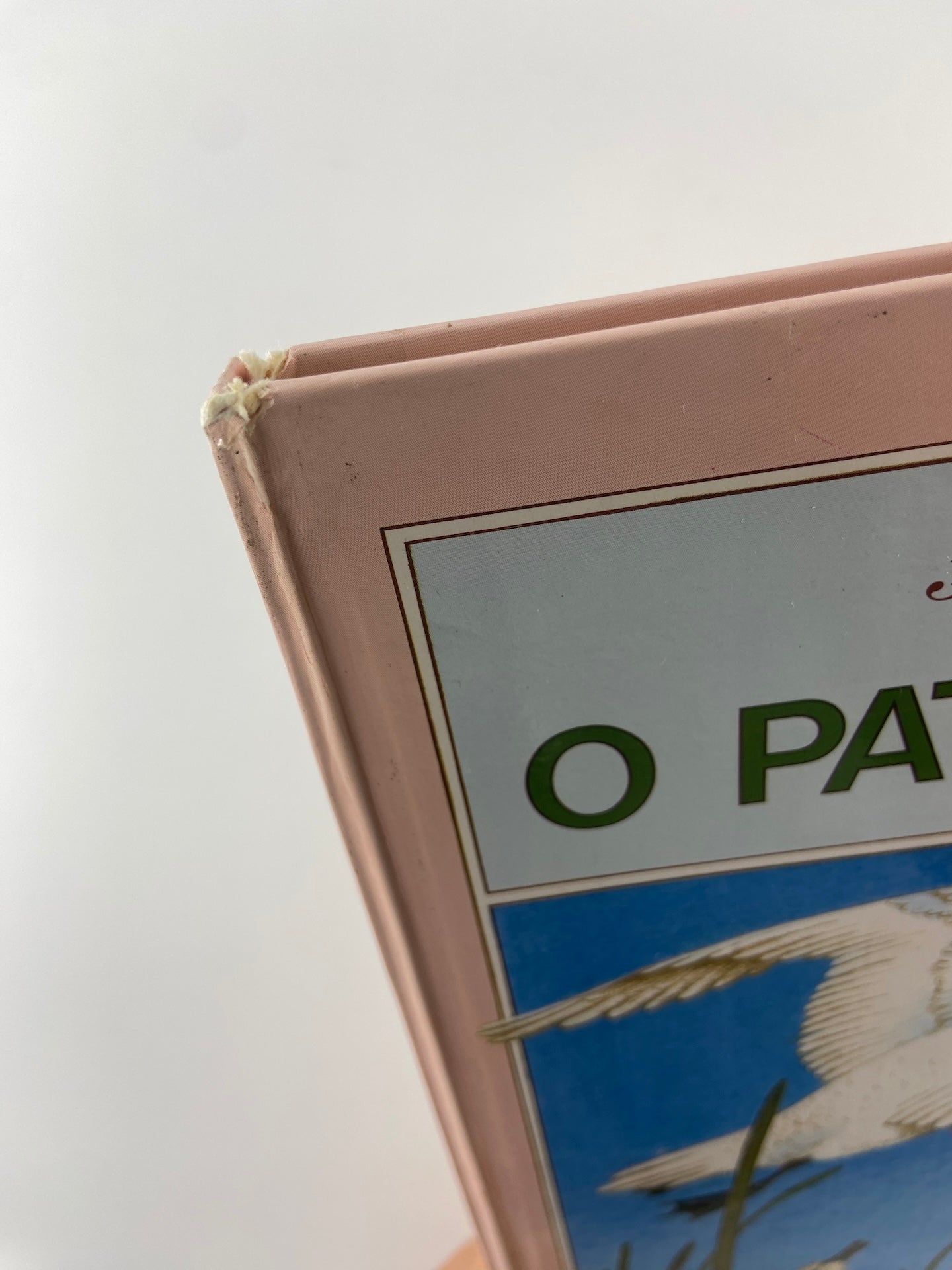 O Patinho feio