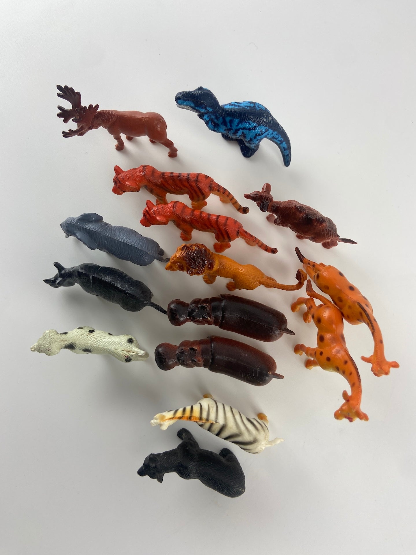 Conjunto de animais