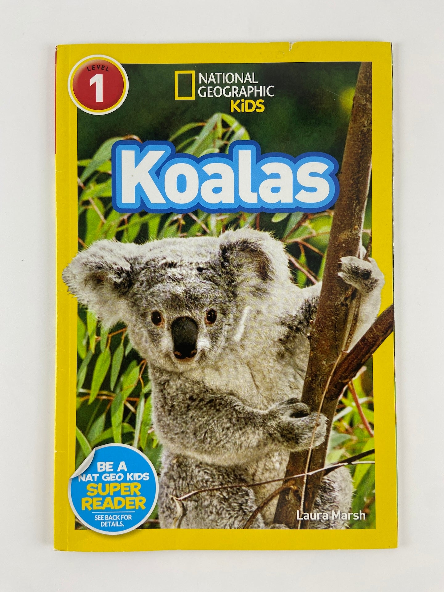 National Geographic Kids | Koalas
