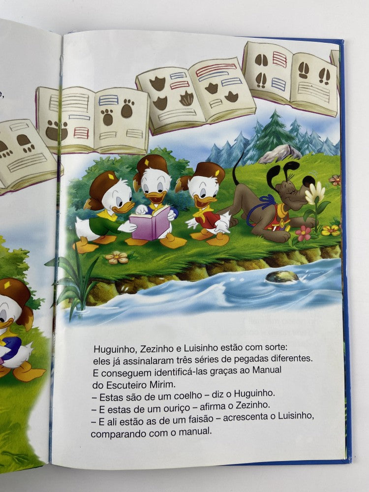 DISNEY As Aventuras dos Escuteiros Mirins