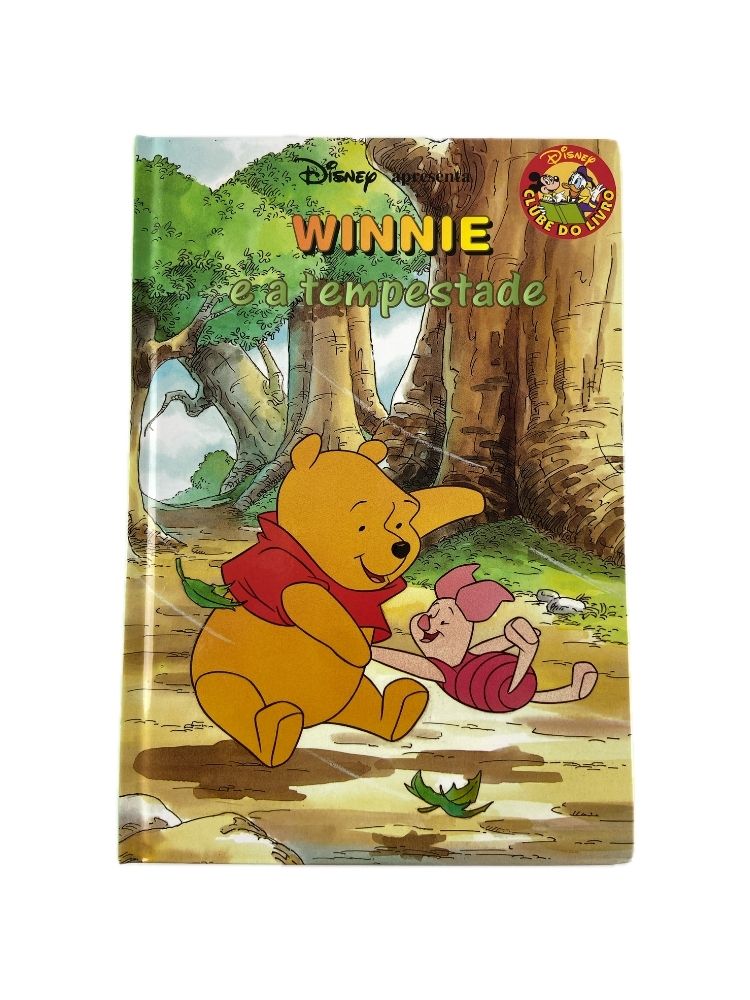 DISNEY Winnie e a tempestade