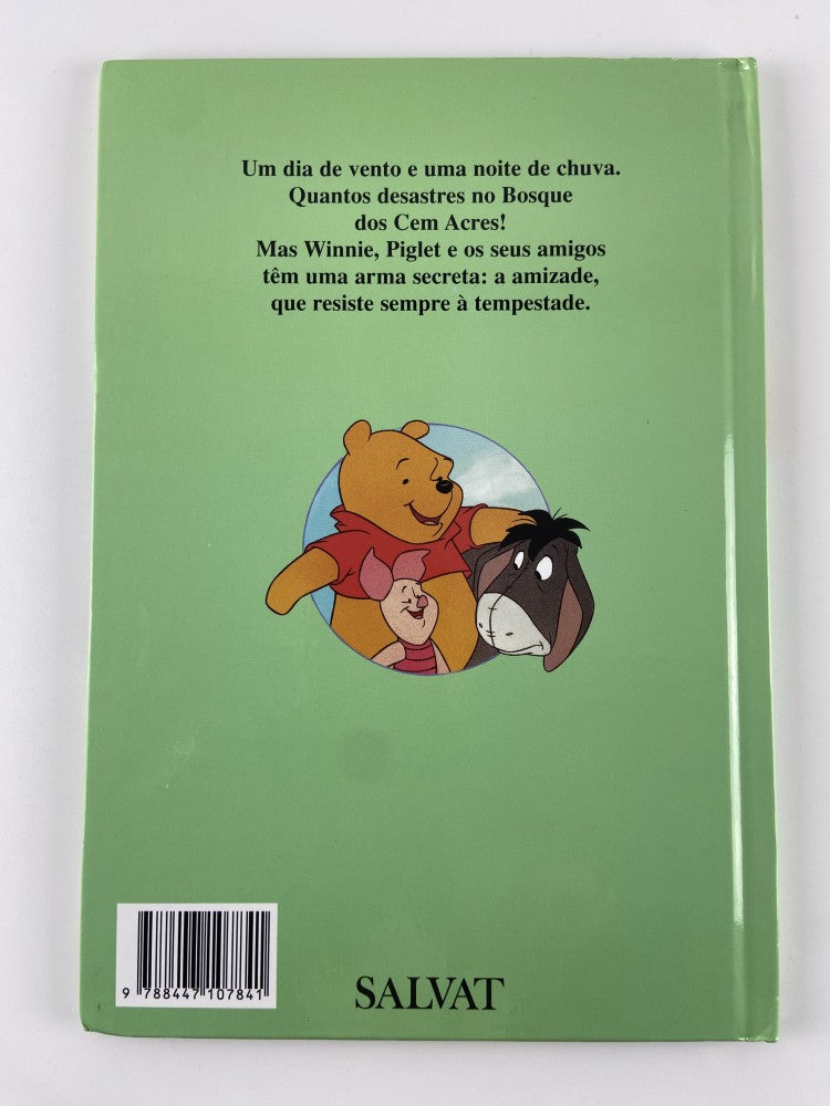DISNEY Winnie e a tempestade