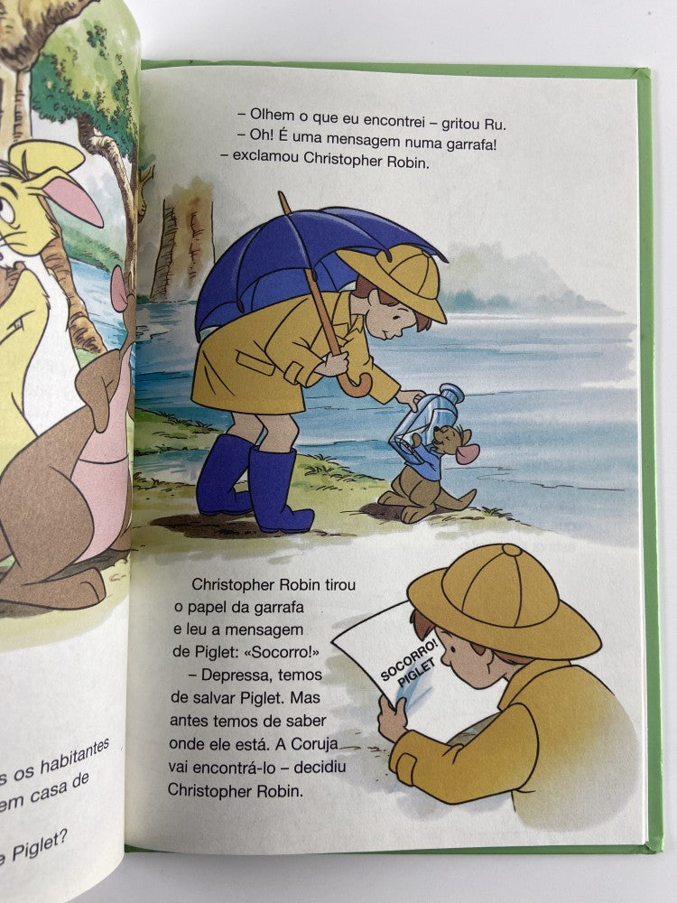 DISNEY Winnie e a tempestade