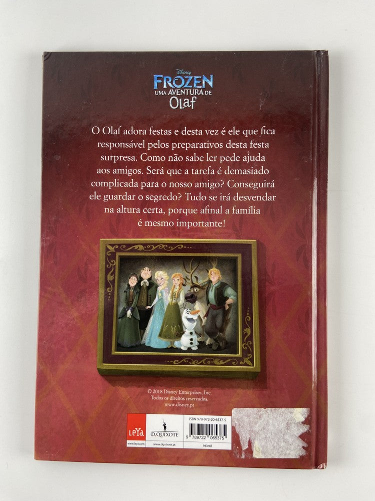 FROZEN A Família é Importante