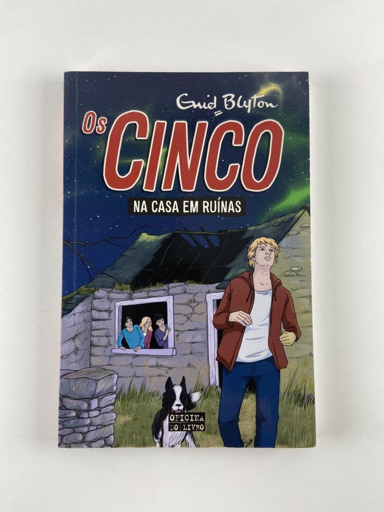 Os Cinco Na Casa em Ruínas