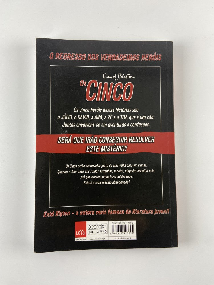 Os Cinco Na Casa em Ruínas