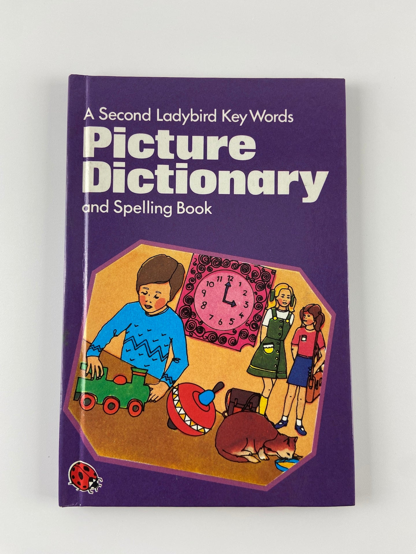 Picture Dictiory by J Mclly