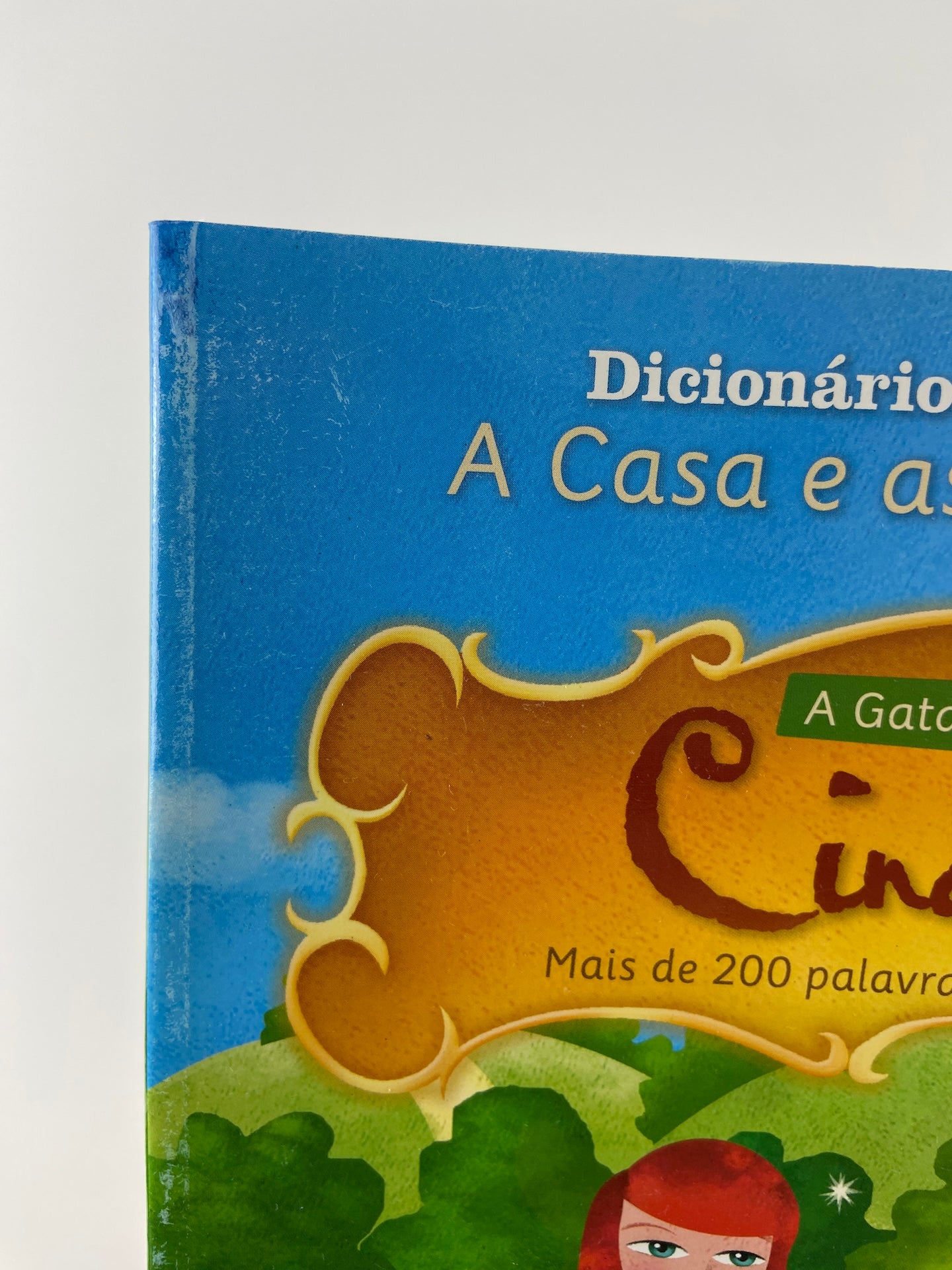 Cinderella | A casa e as coisas do lar