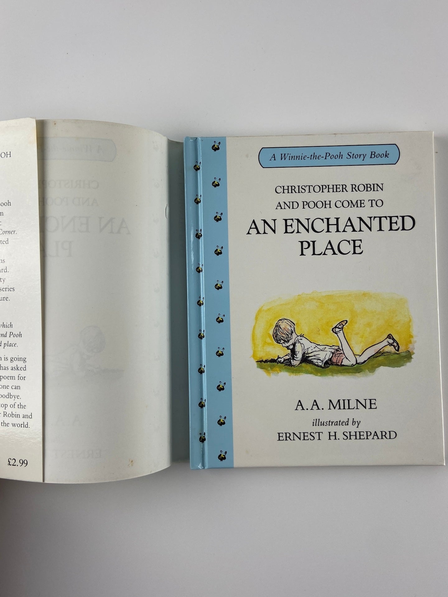 Winnie the Pooh | An enchanted place