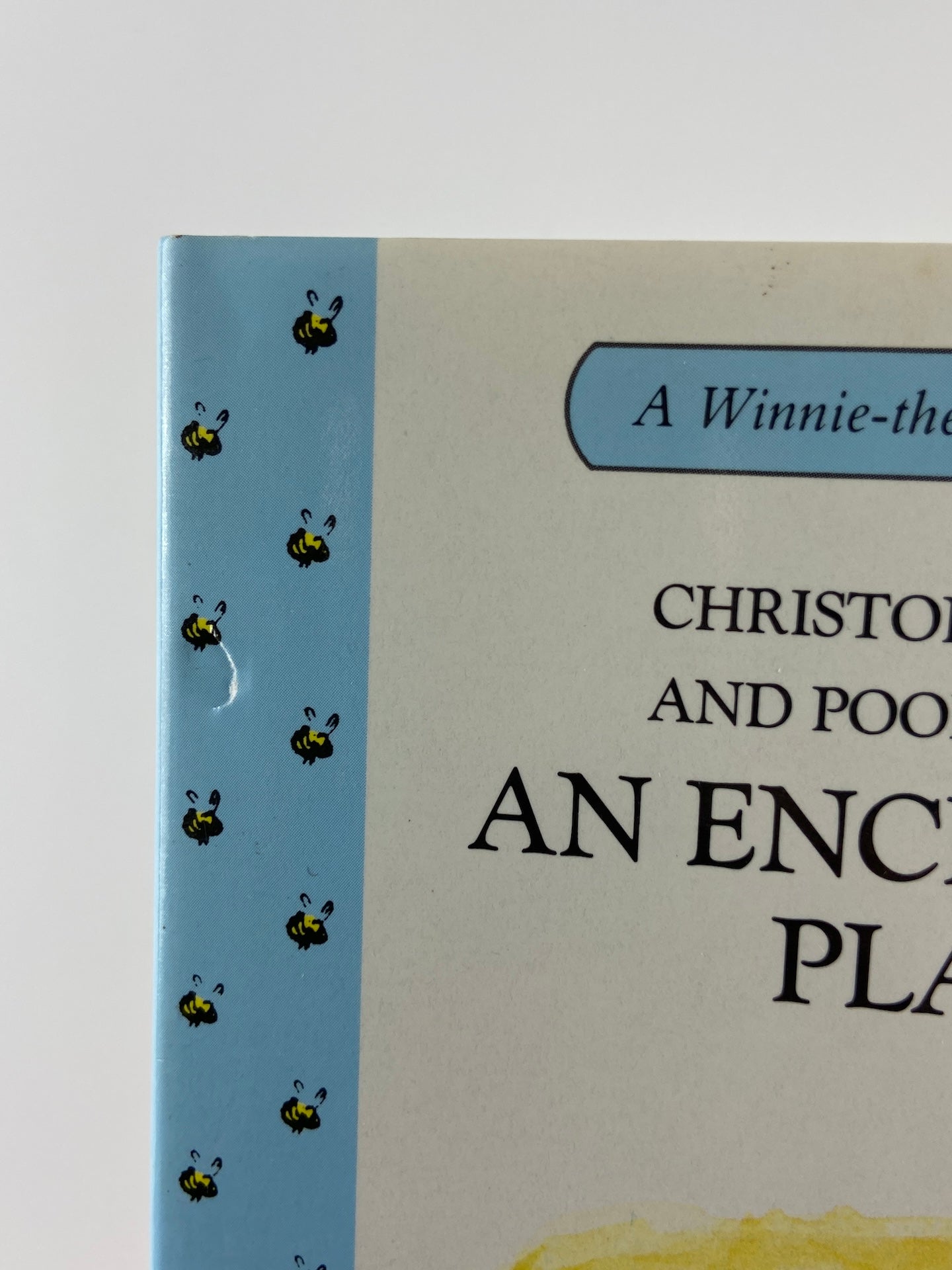 Winnie the Pooh | An enchanted place