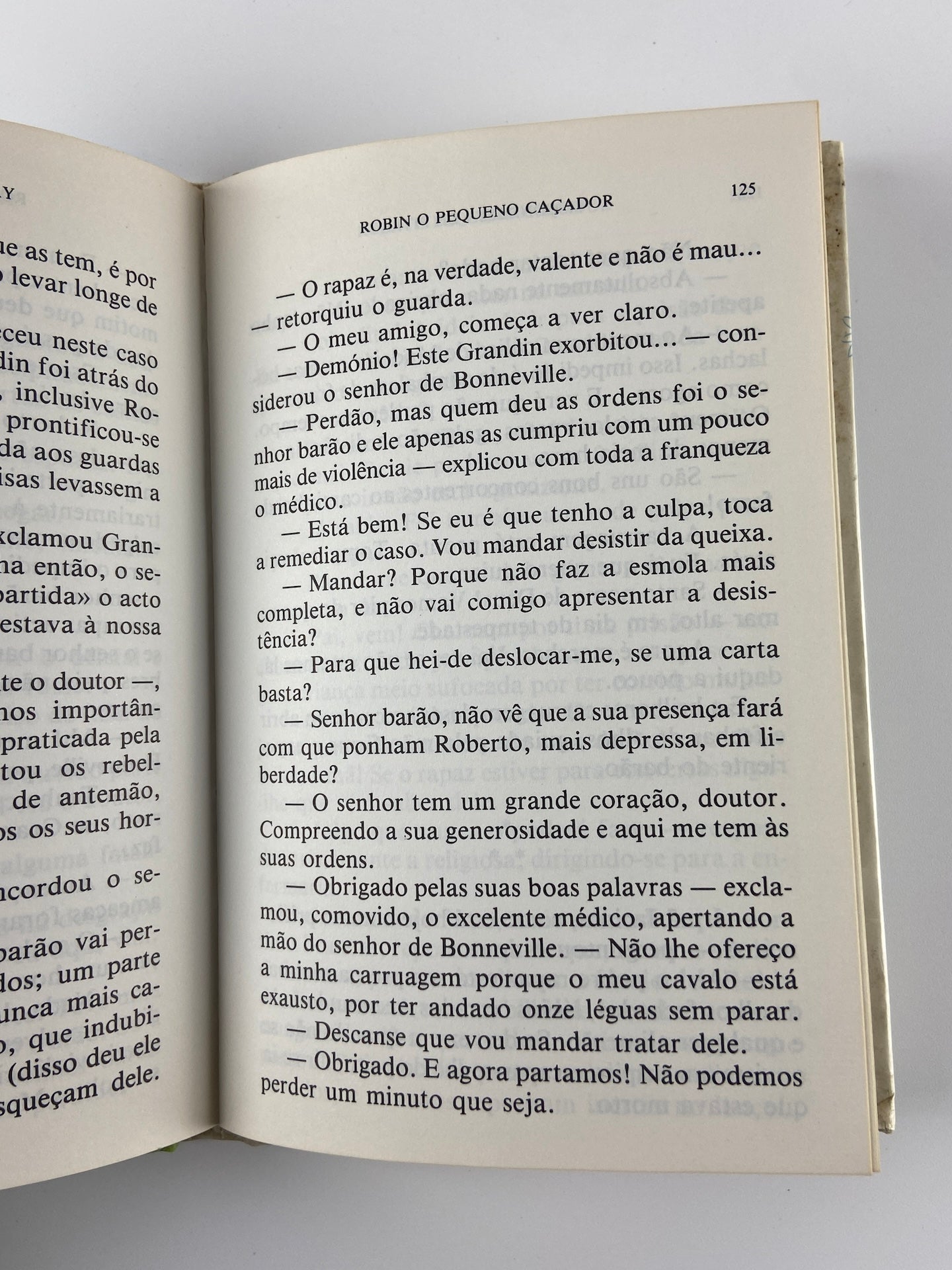 Robin o pequenano caçador de Viscondessa de Pitray