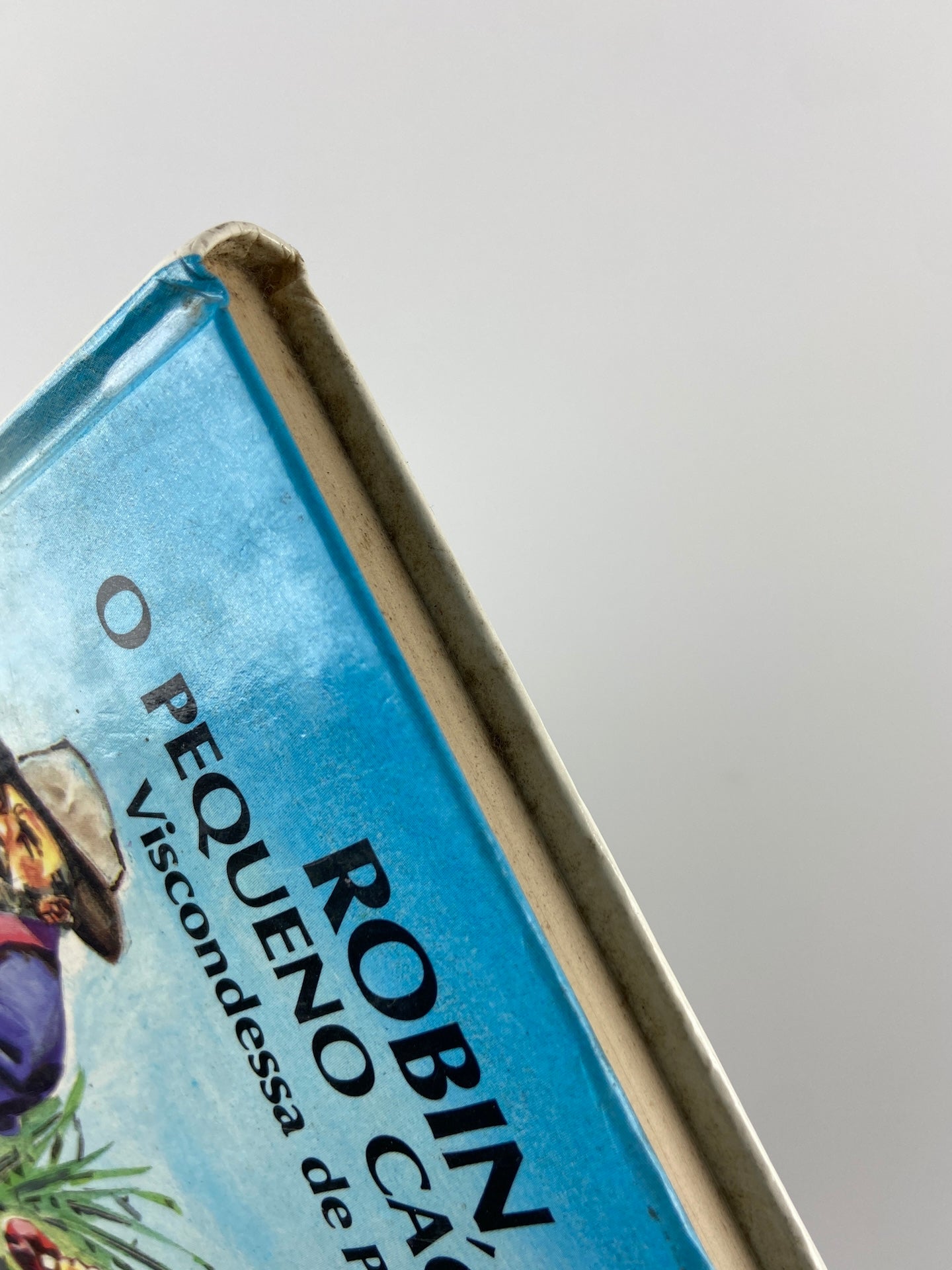 Robin o pequenano caçador de Viscondessa de Pitray