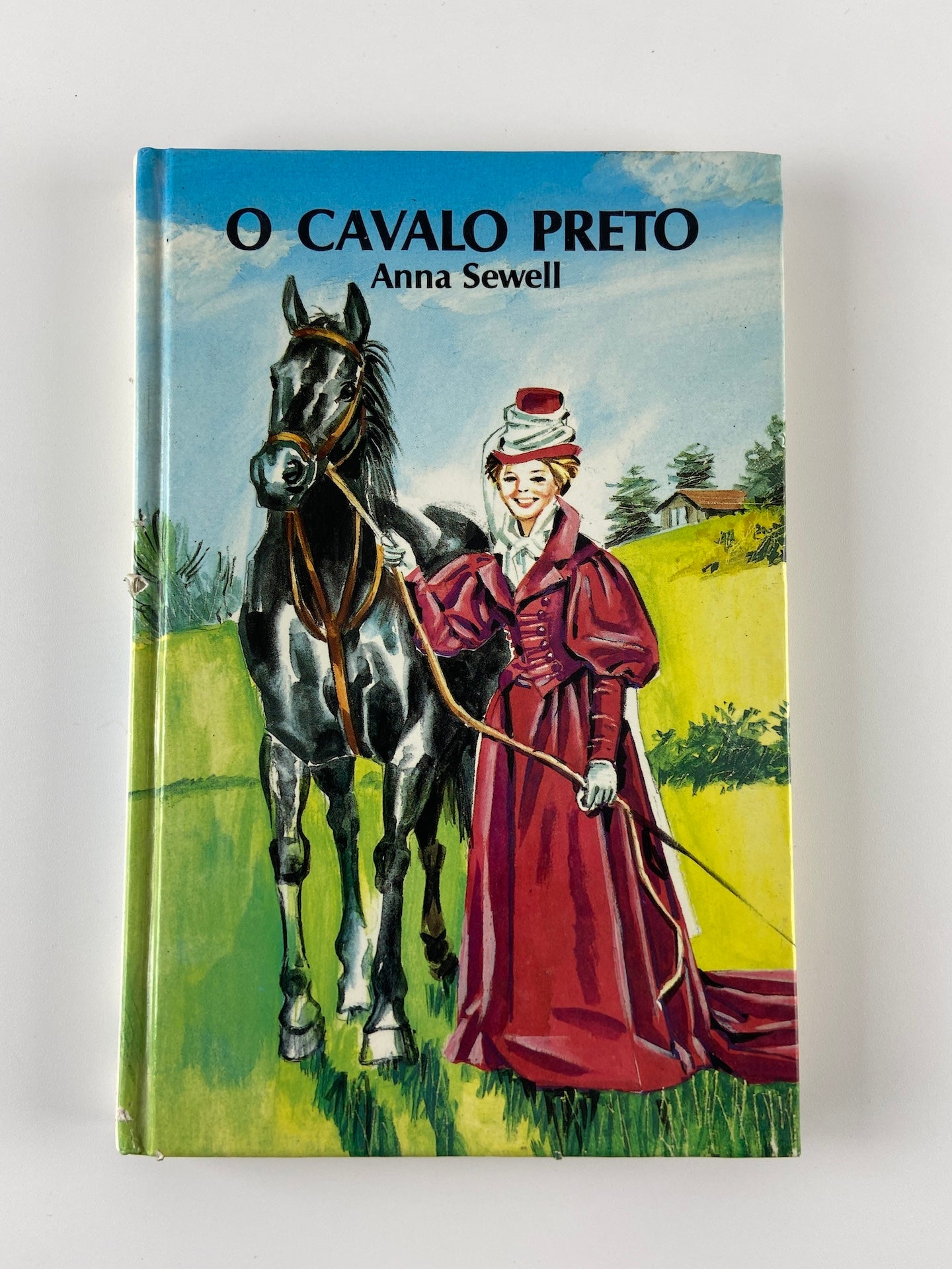 O cavalo preto | Anna Sewell