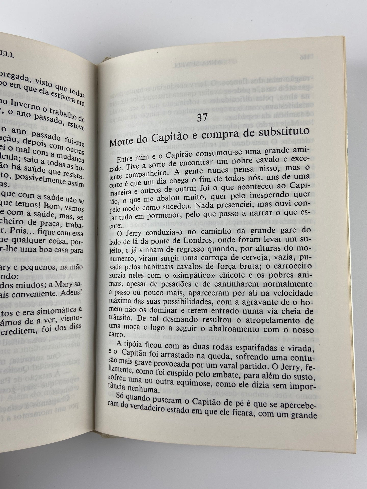 O cavalo preto | Anna Sewell