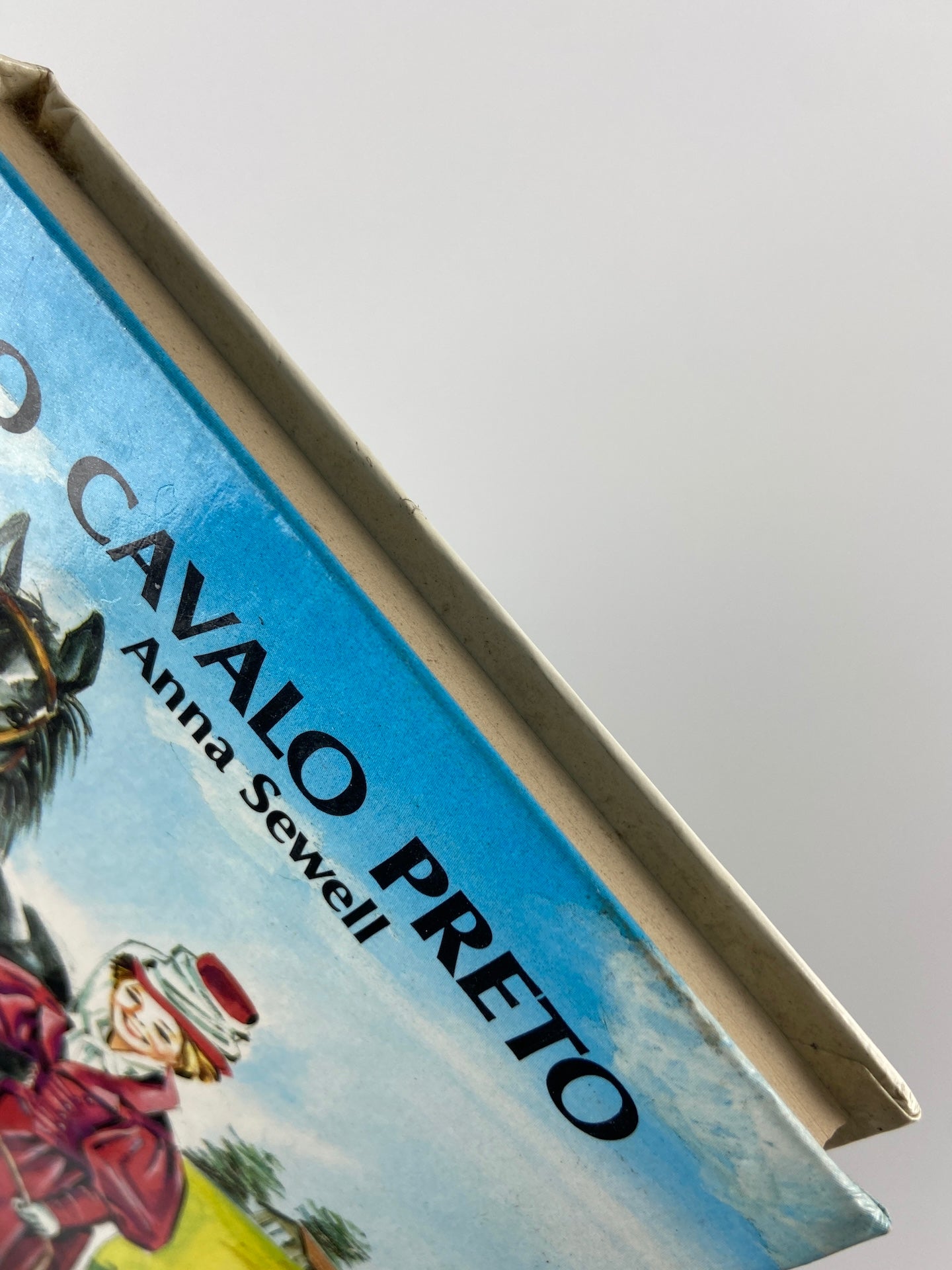 O cavalo preto | Anna Sewell