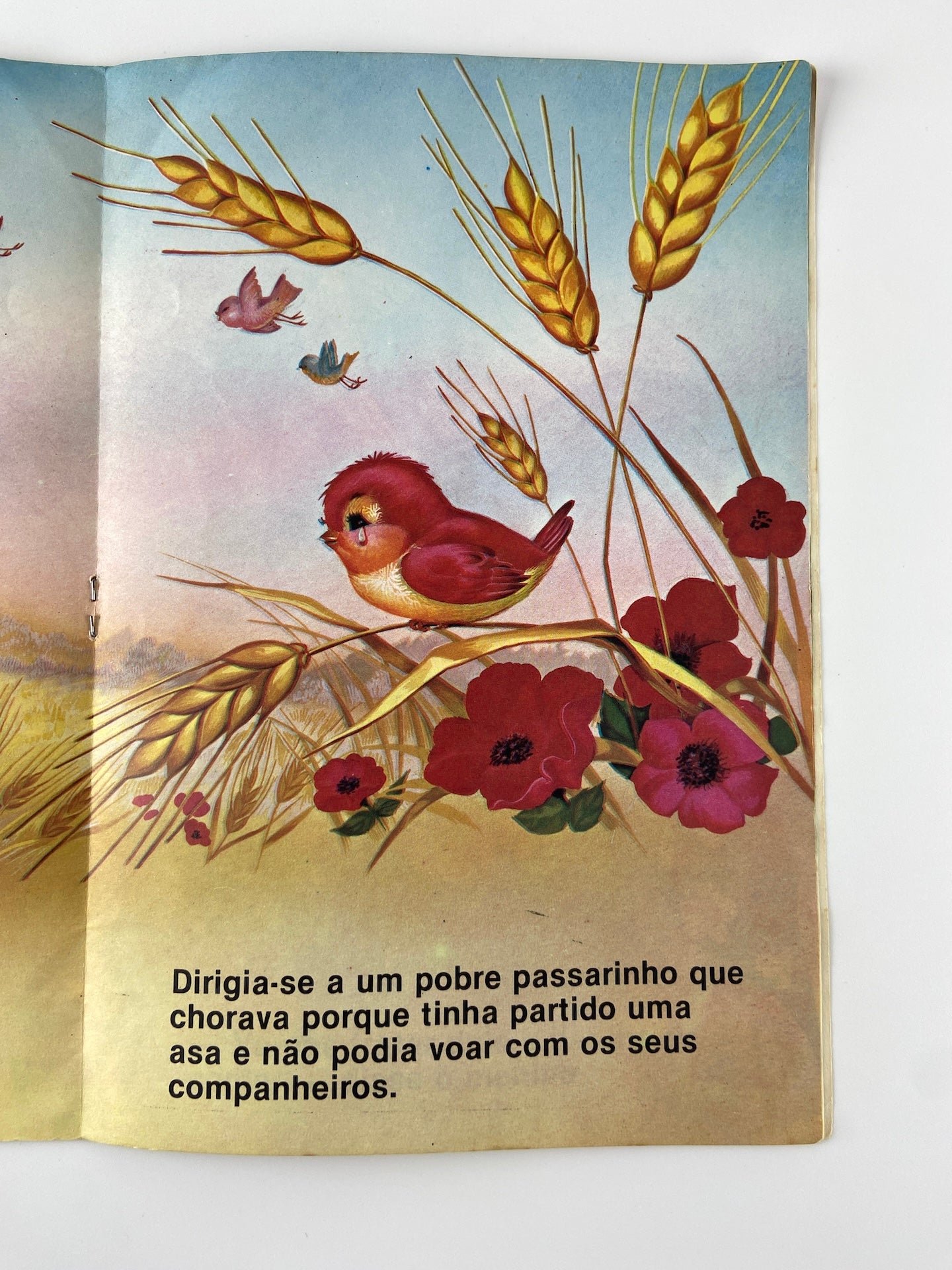 O espantalho | Anos Dourados