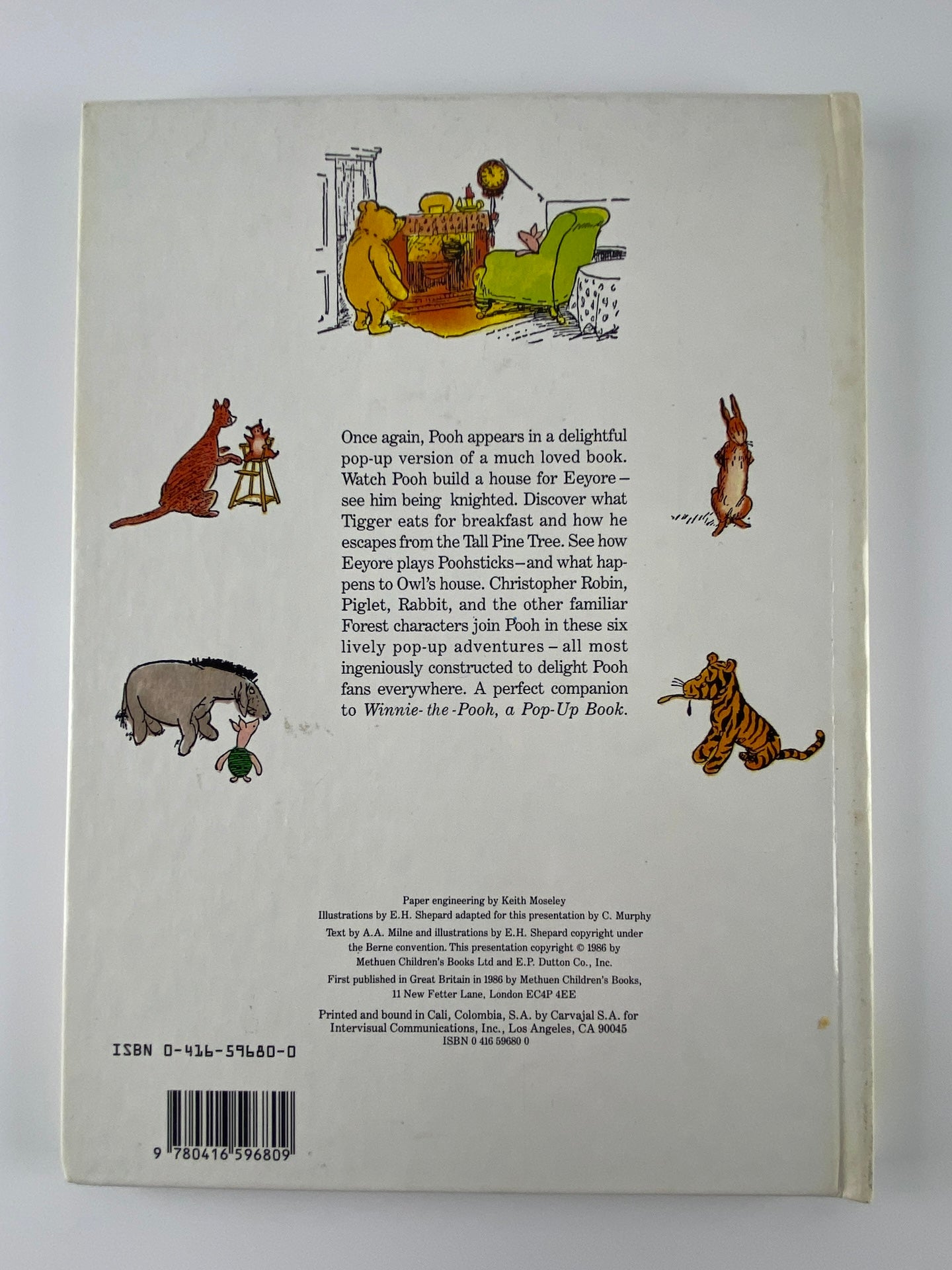 Winnie the Pooh | The house at Pooh corner
