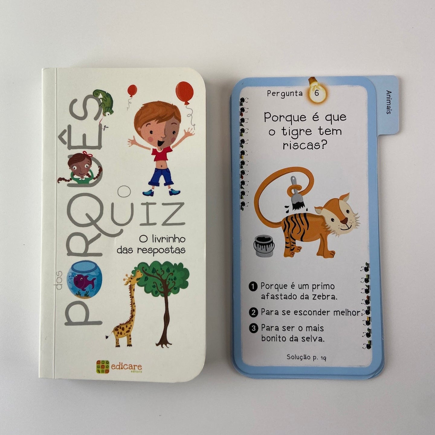 Edicare Editora Quiz dos porquês