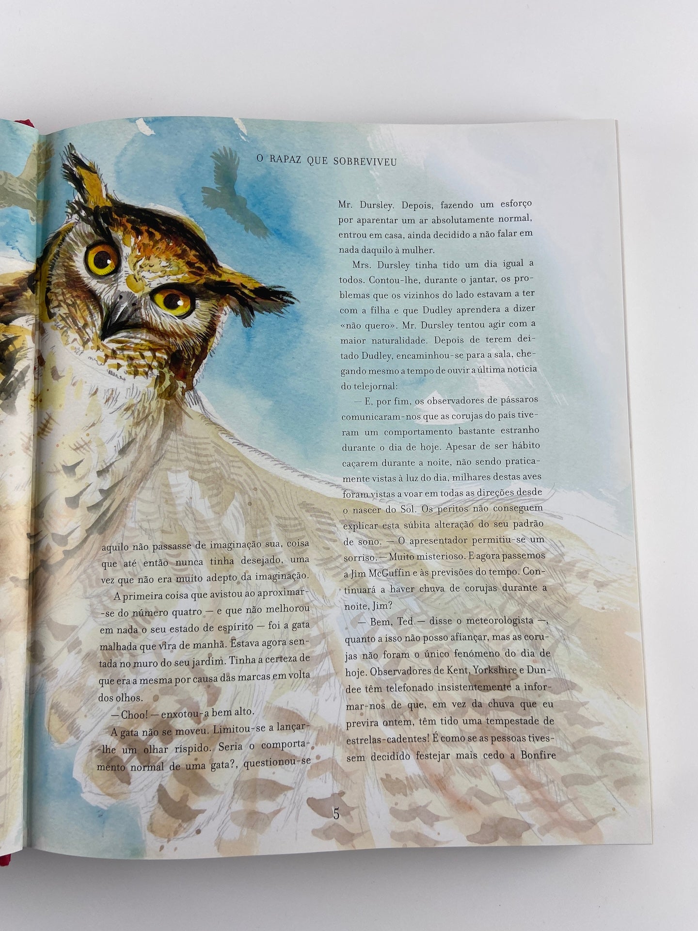 Harry Potter e a Pedra filosofal | J.K. Rowling