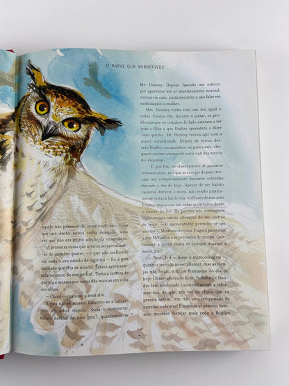 Harry Potter e a Pedra filosofal | J.K. Rowling