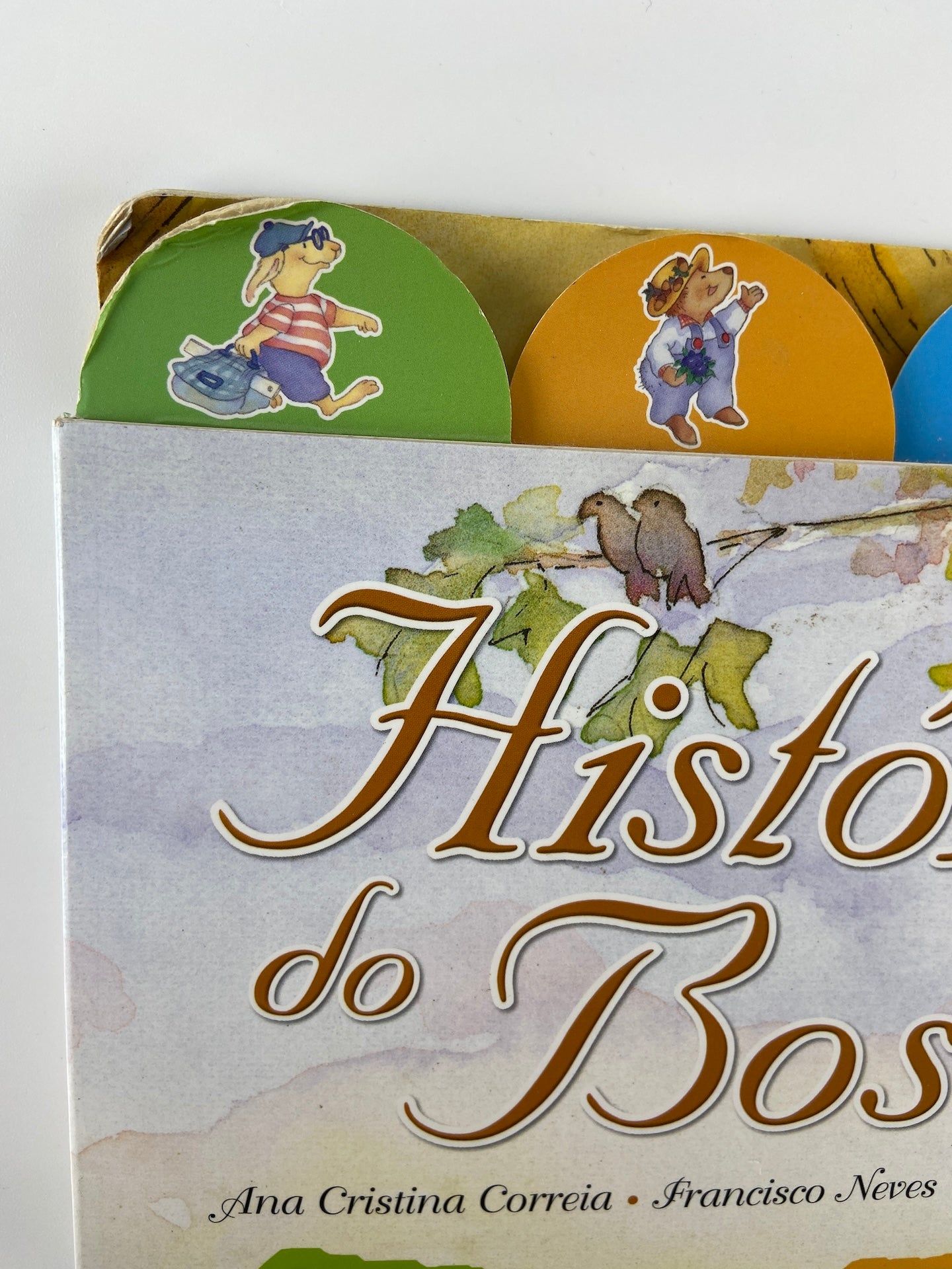 Histórias do Bosque
