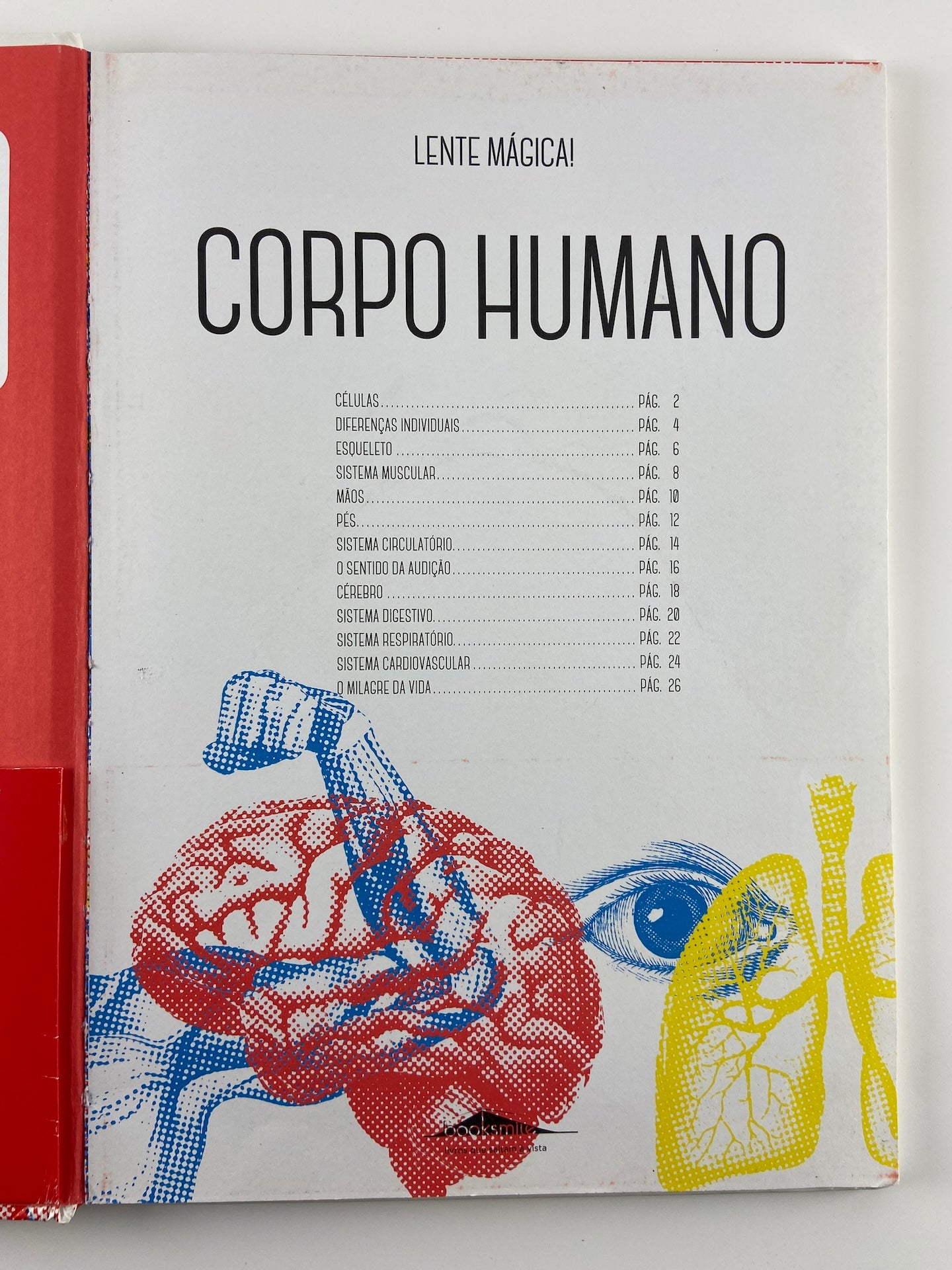 Corpo humano | Lente mágica