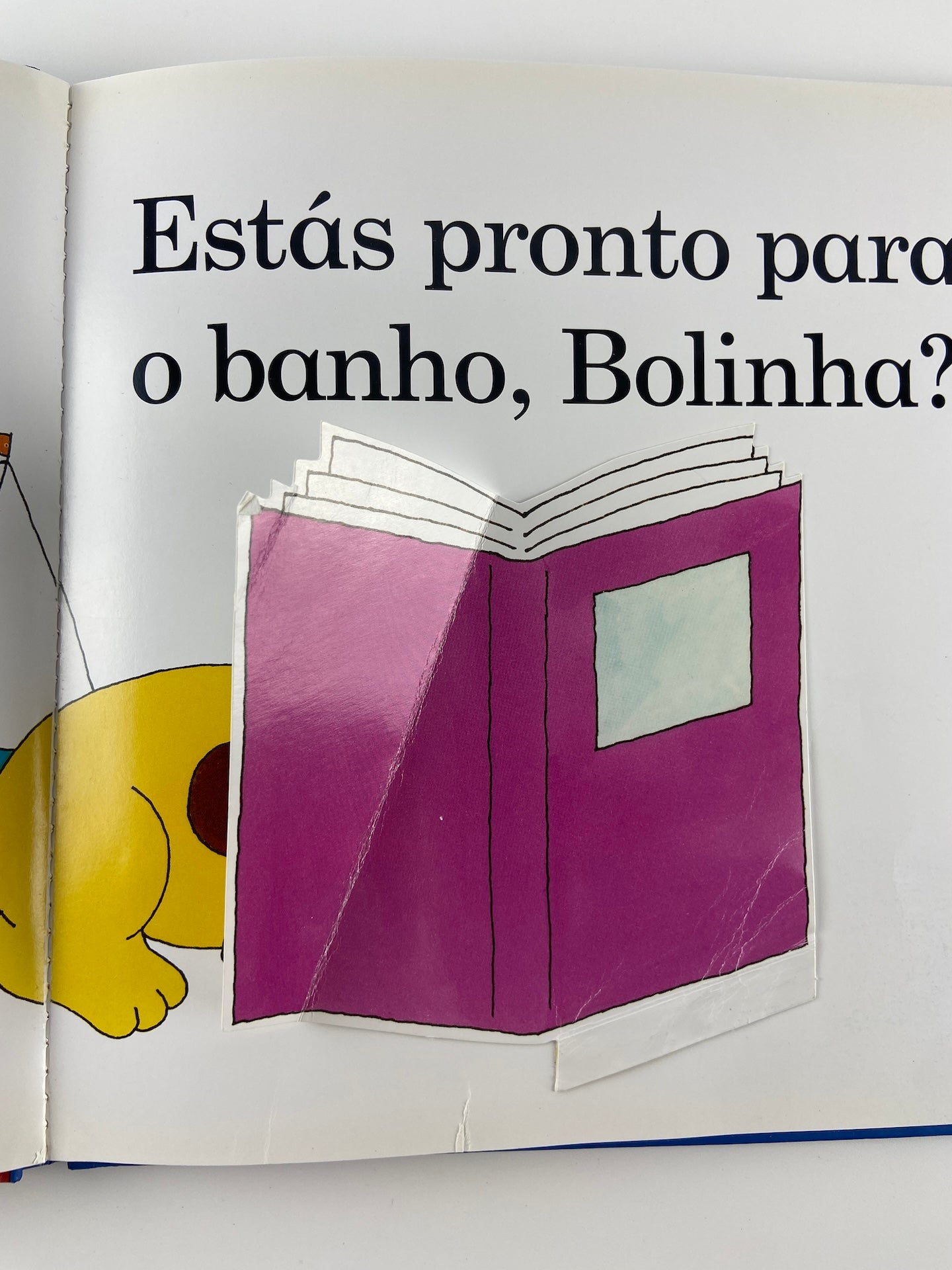 Boa noite, Bolinha!