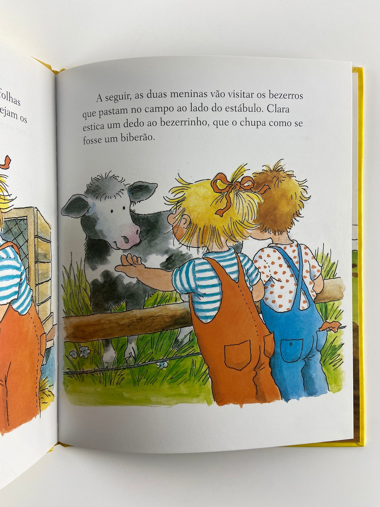Clara na Quinta de Liane Schneider