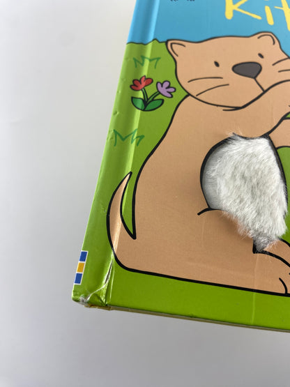 Kittens | Gatinhos
