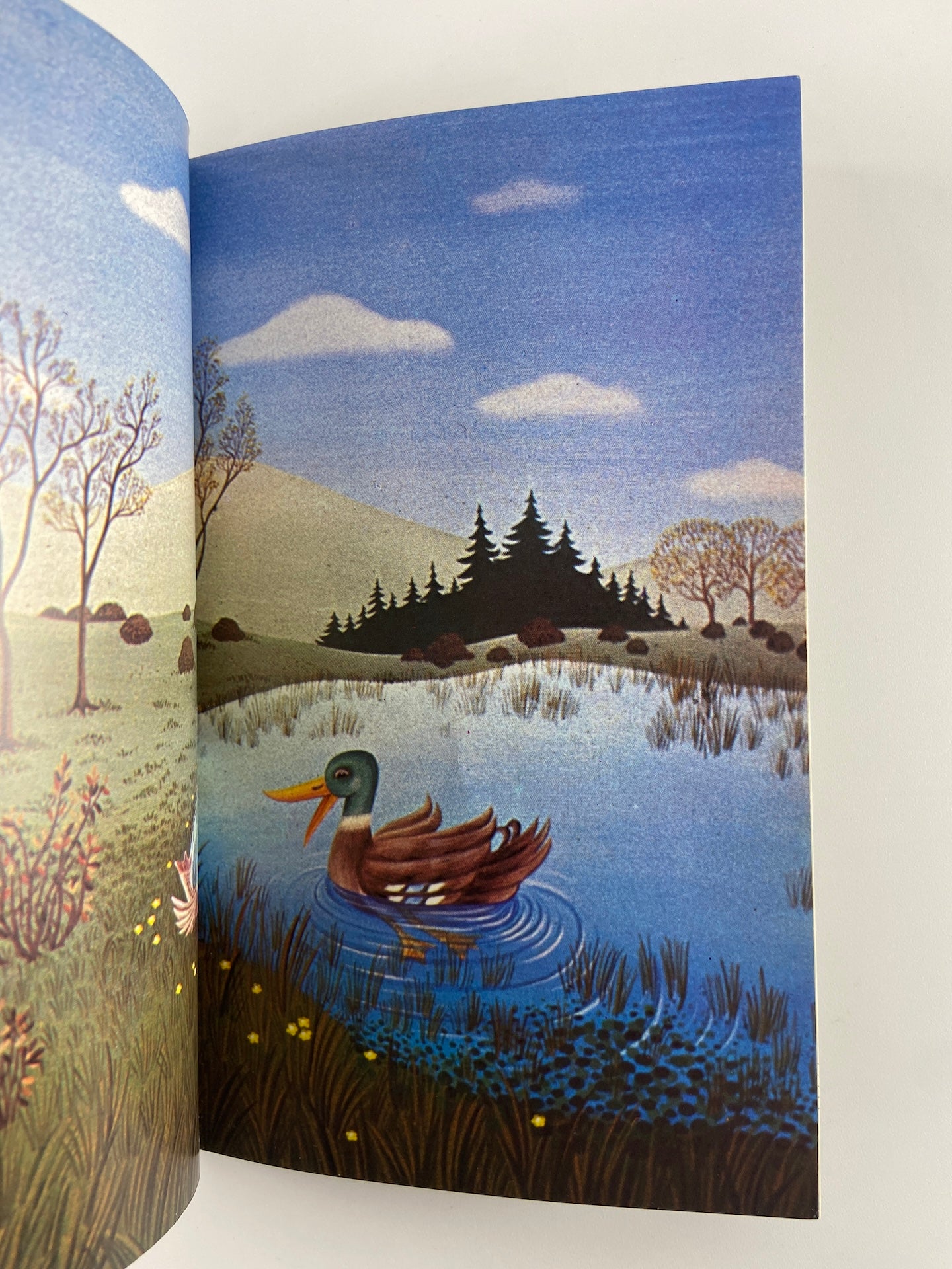 Peter and the wolf | Pedro e o Lobo