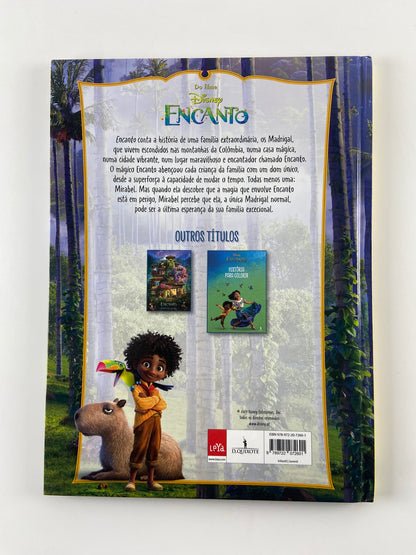 O livro do filme Encanto da Disney