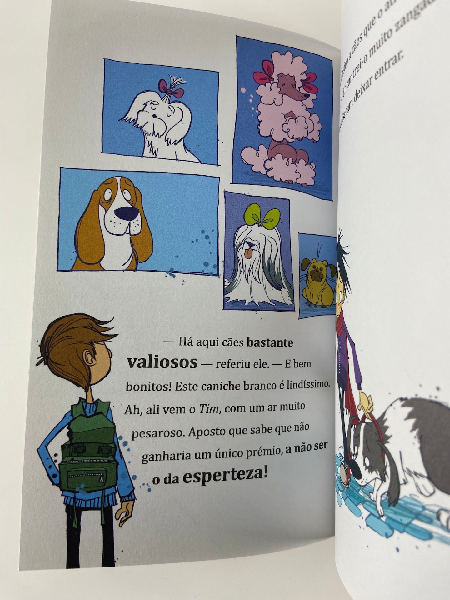 Os Mini Cinco 1 | Uma Aventura nas Férias