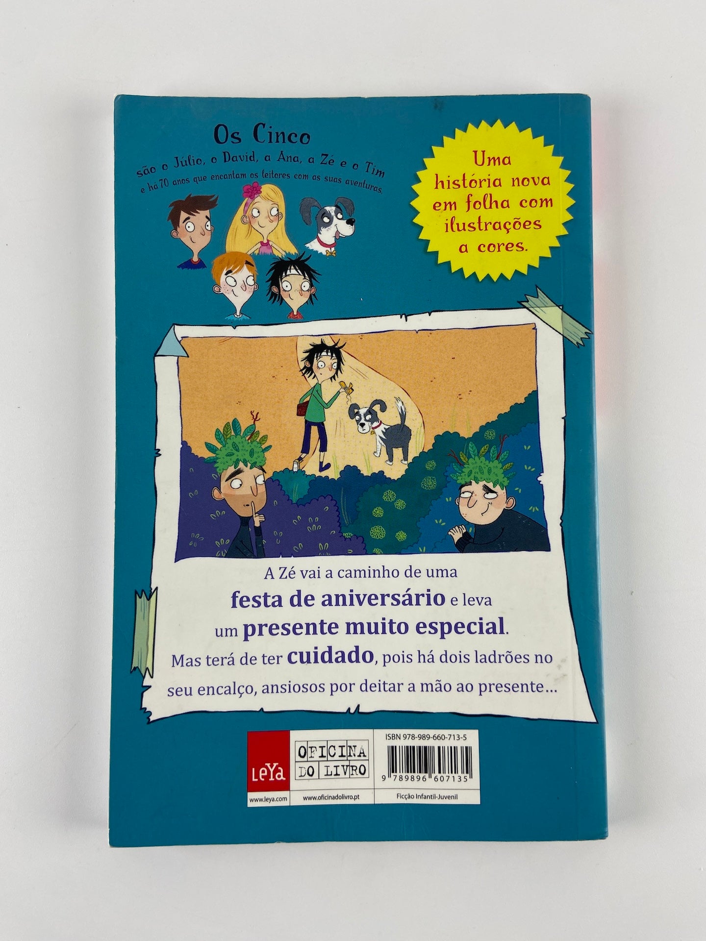 Os Mini Cinco 9 | Um aniversário atribulado!