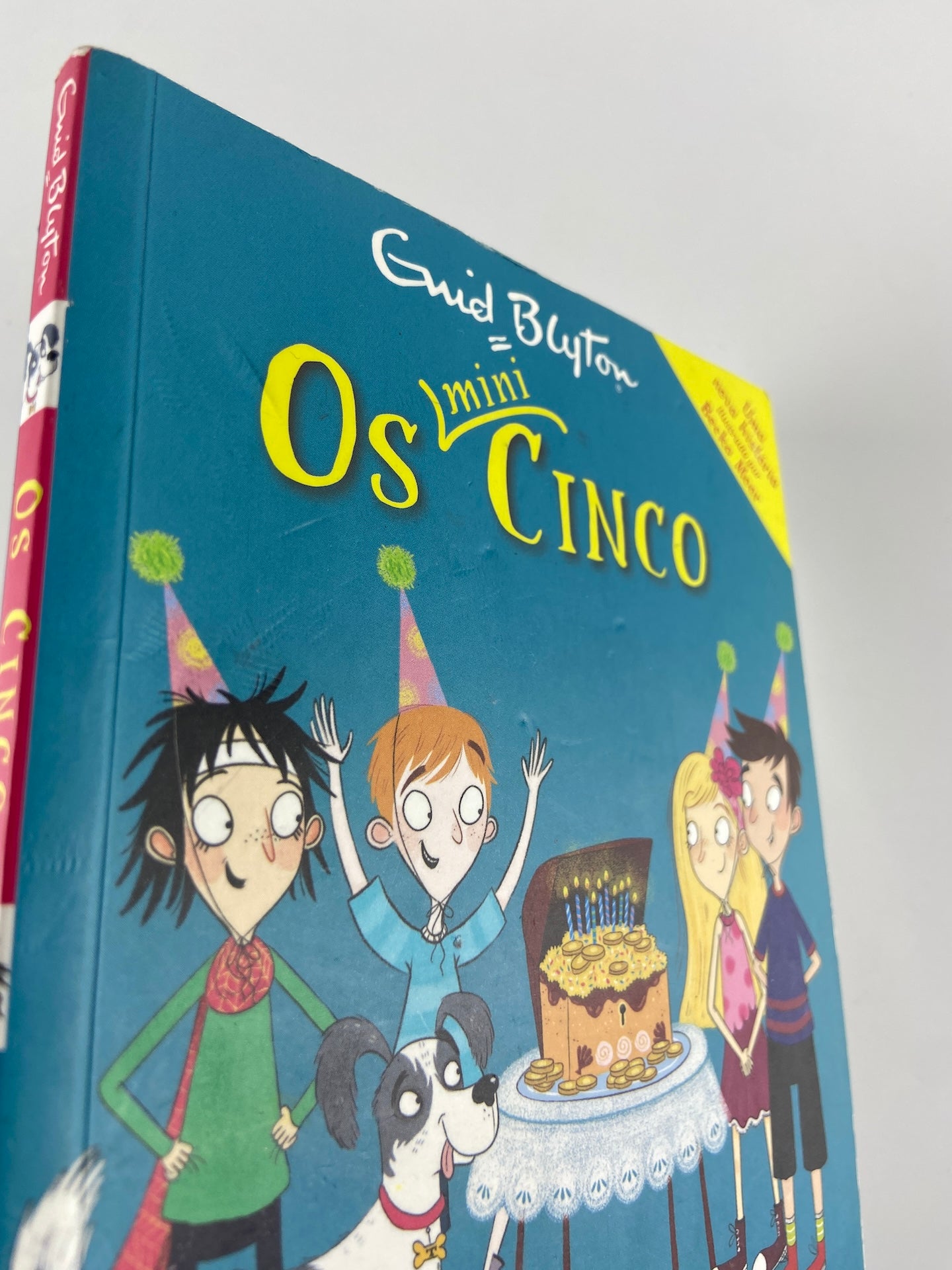 Os Mini Cinco 9 | Um aniversário atribulado!
