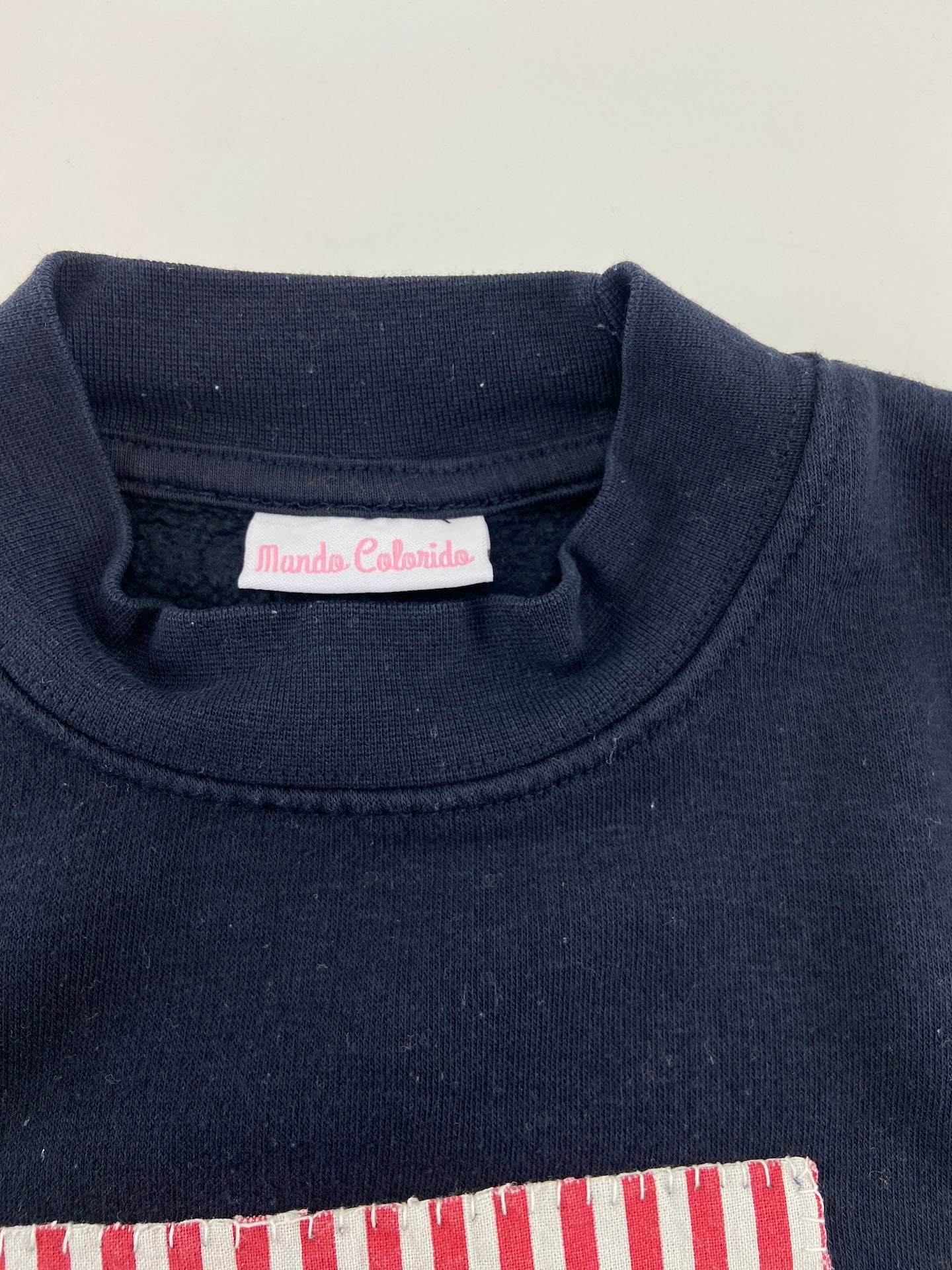 MUNDO COLORIDO Sweatshirt peixe