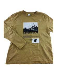 ZARA Longsleeve Silver peaks