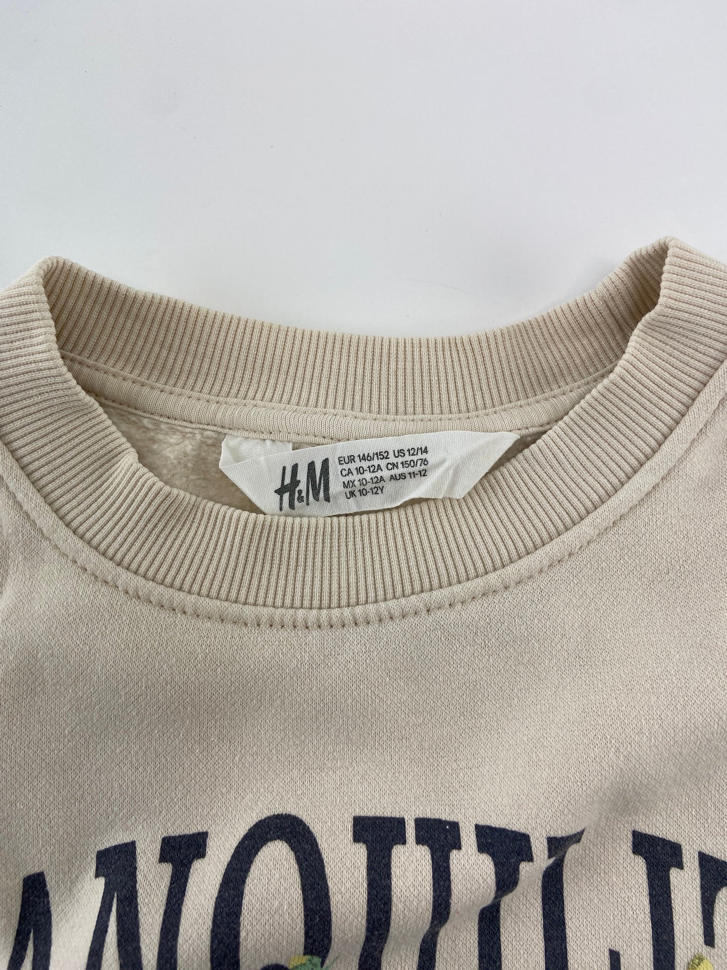 H&M Sweatshirt Tranquility