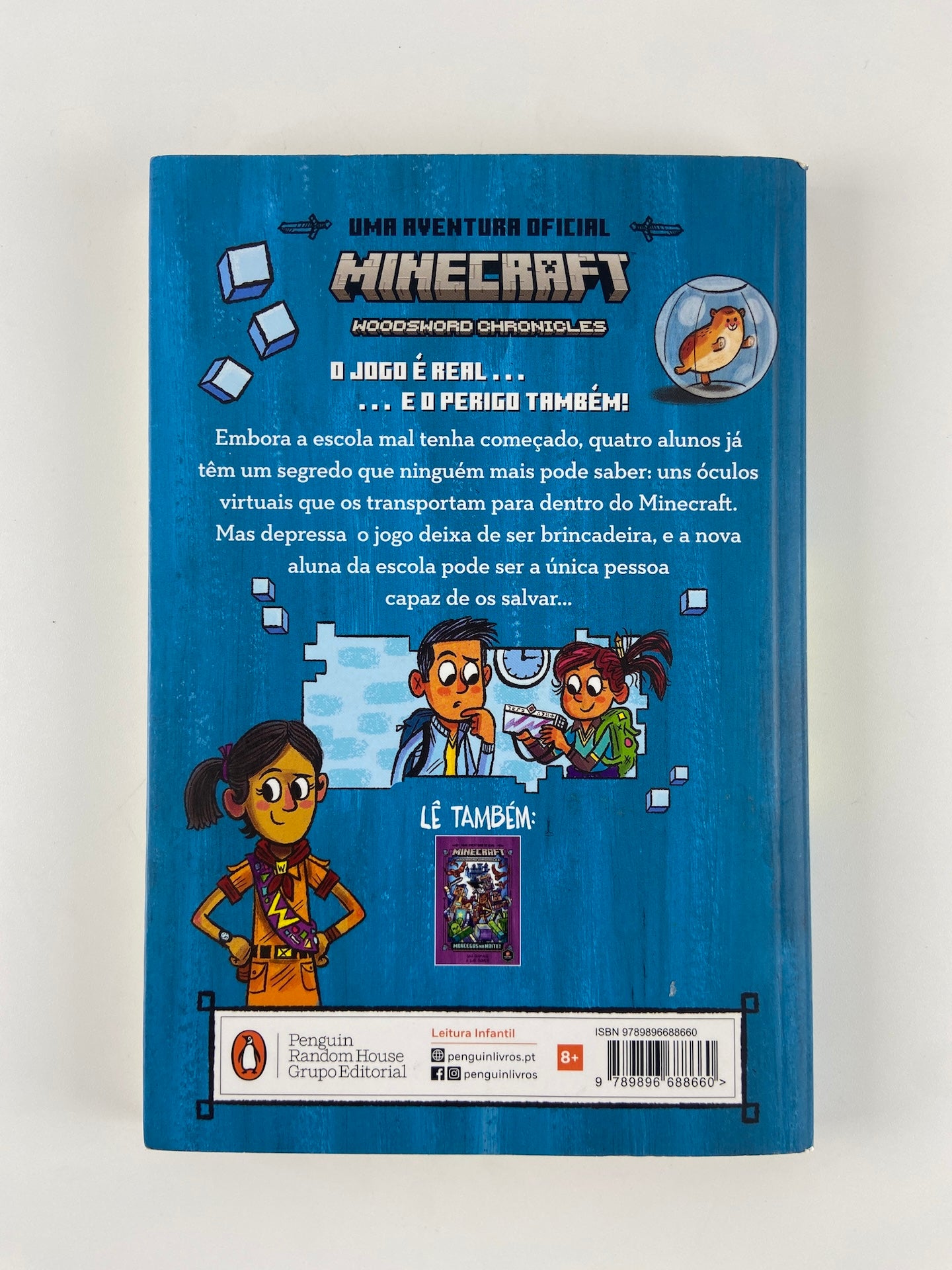 MINECRAFT 1 Dentro do Jogo